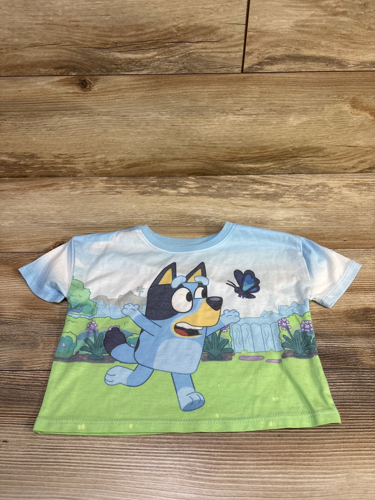 Bluey Shirt Blue sz 2T