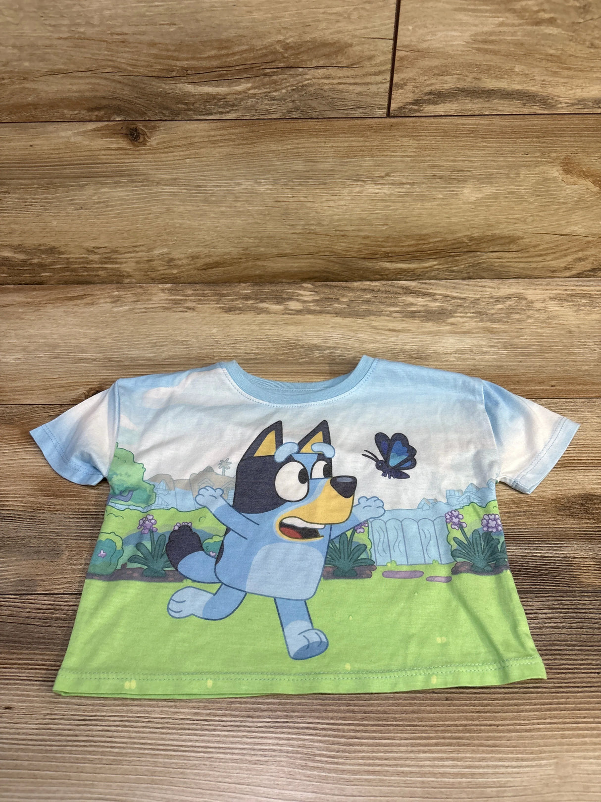Bluey Shirt Blue sz 2T