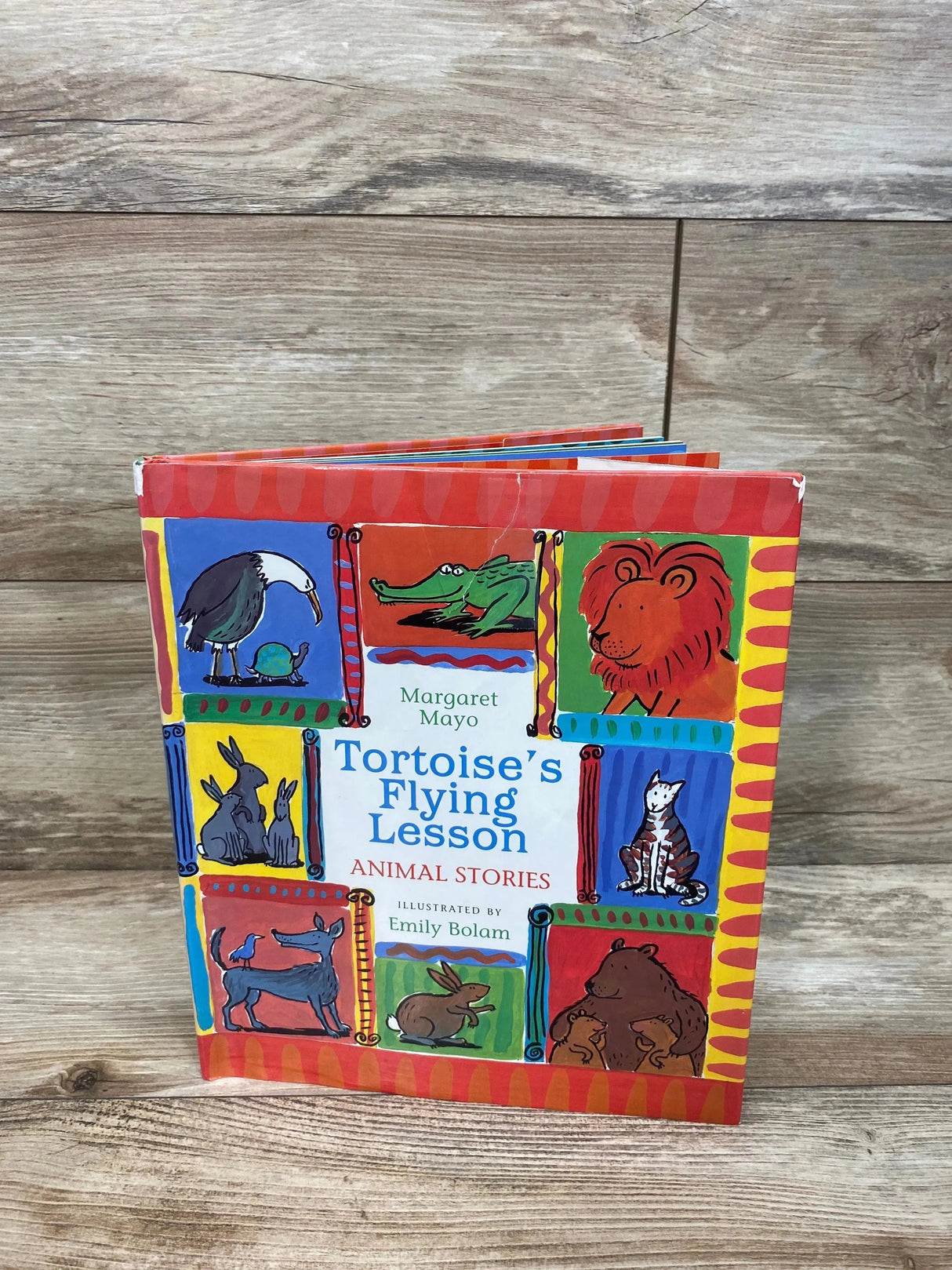 Tortoise's Flying Lesson by Mayo, Margaret Hardcover Book - Me n Mommy To Be