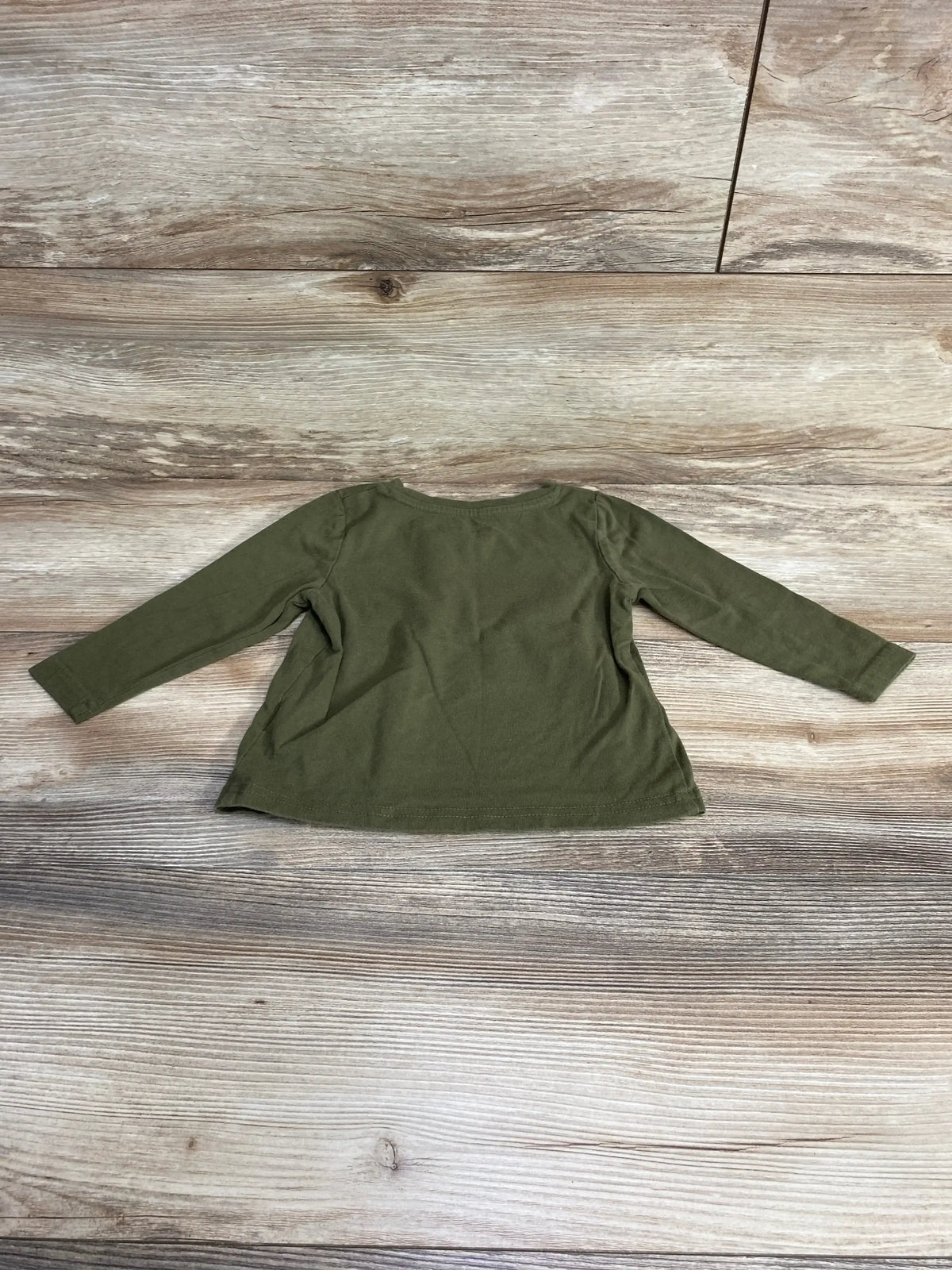 Back view of green Champion toddler long-sleeve shirt (size 2T) showing plain back and crew neckline on wood floor background