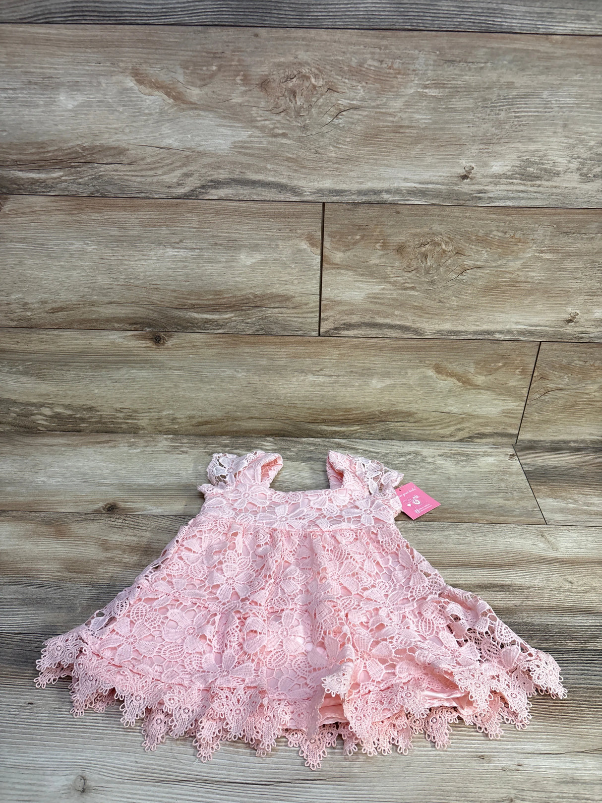 NEW Rare Editions Lace Dress Pink sz 2T