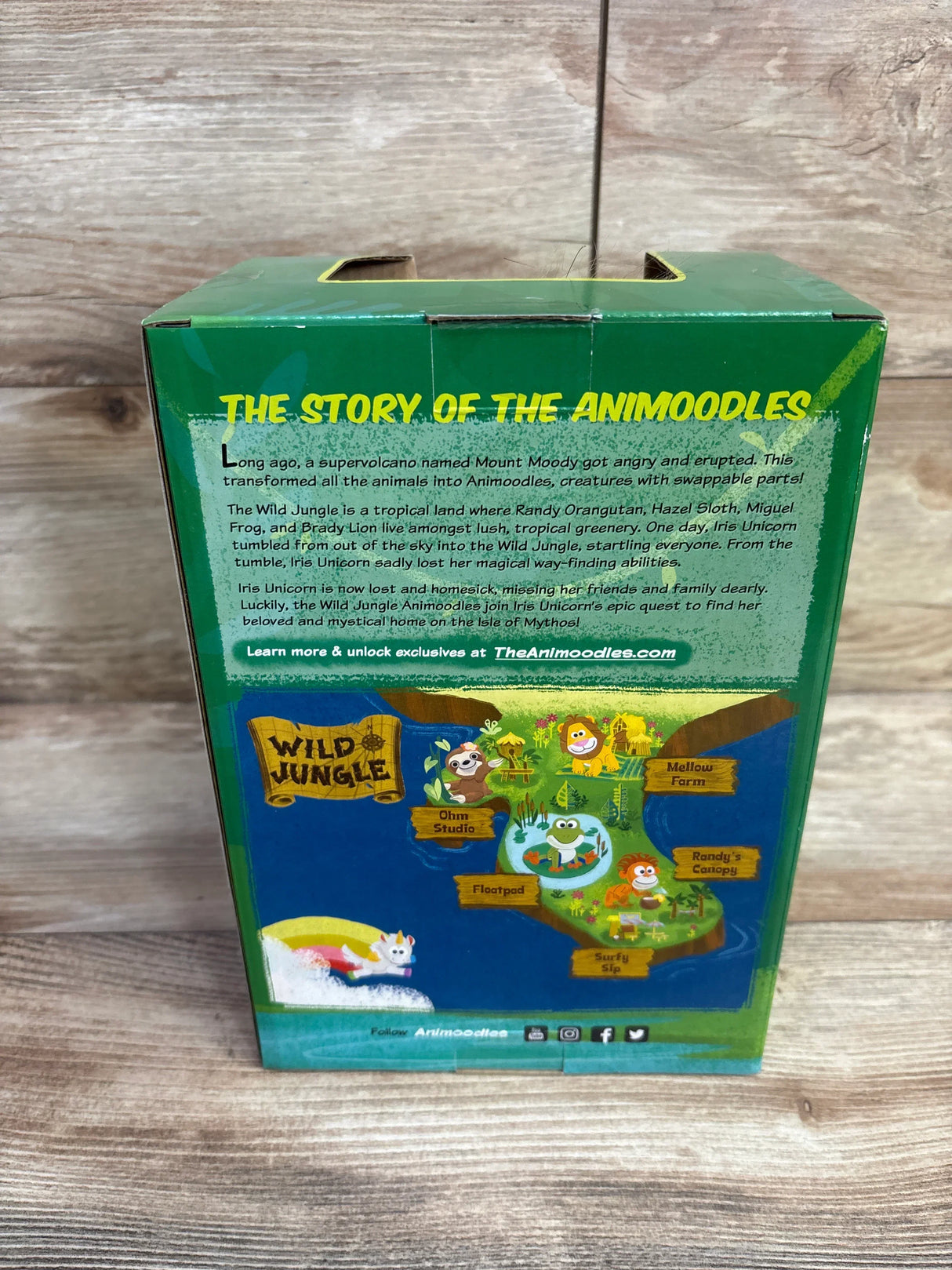Back view of Animoodles Brady Lion box showing The Story of the Animoodles headline and Wild Jungle map on wood surface