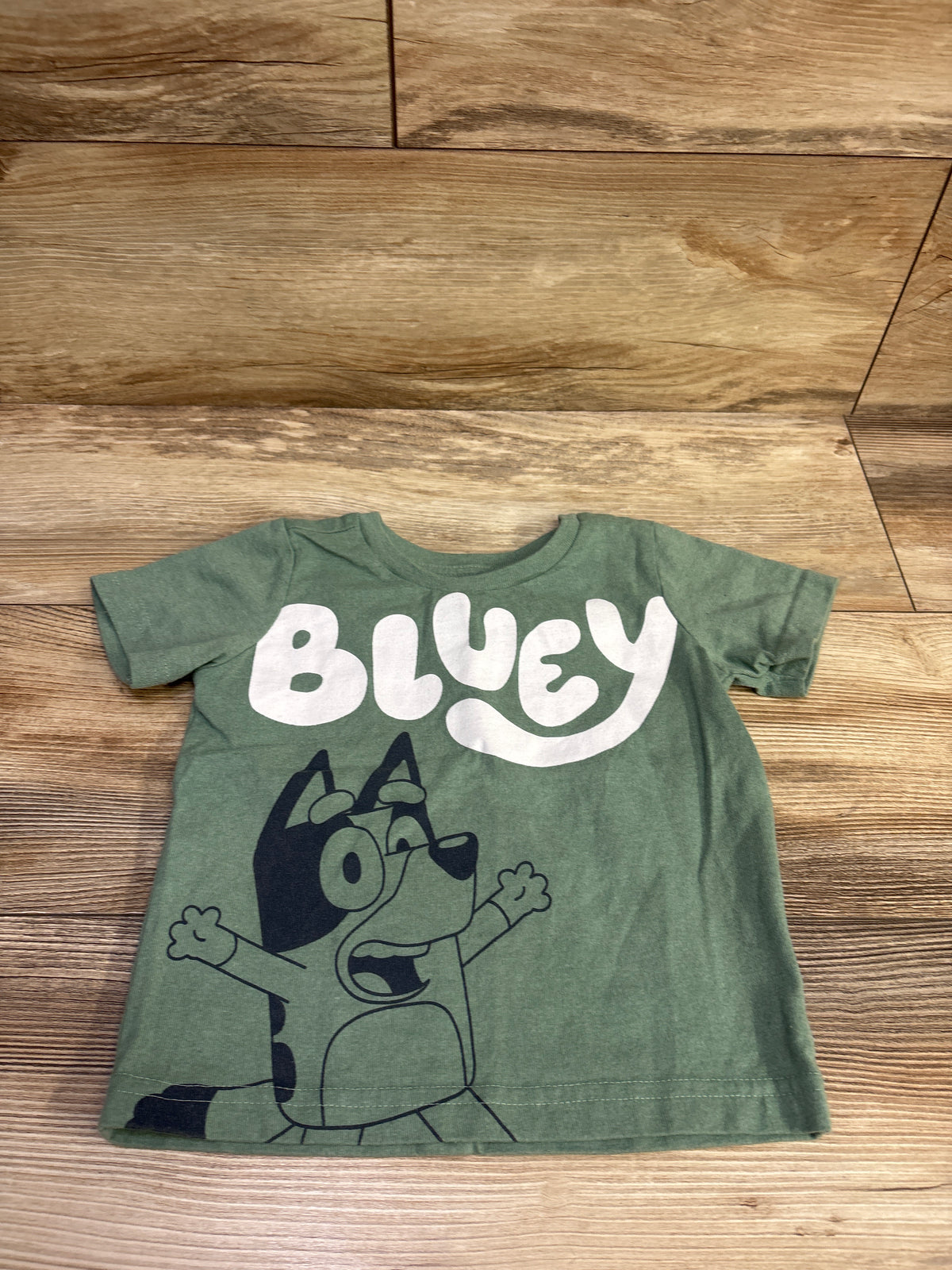 Bluey Shirt Green sz 2T