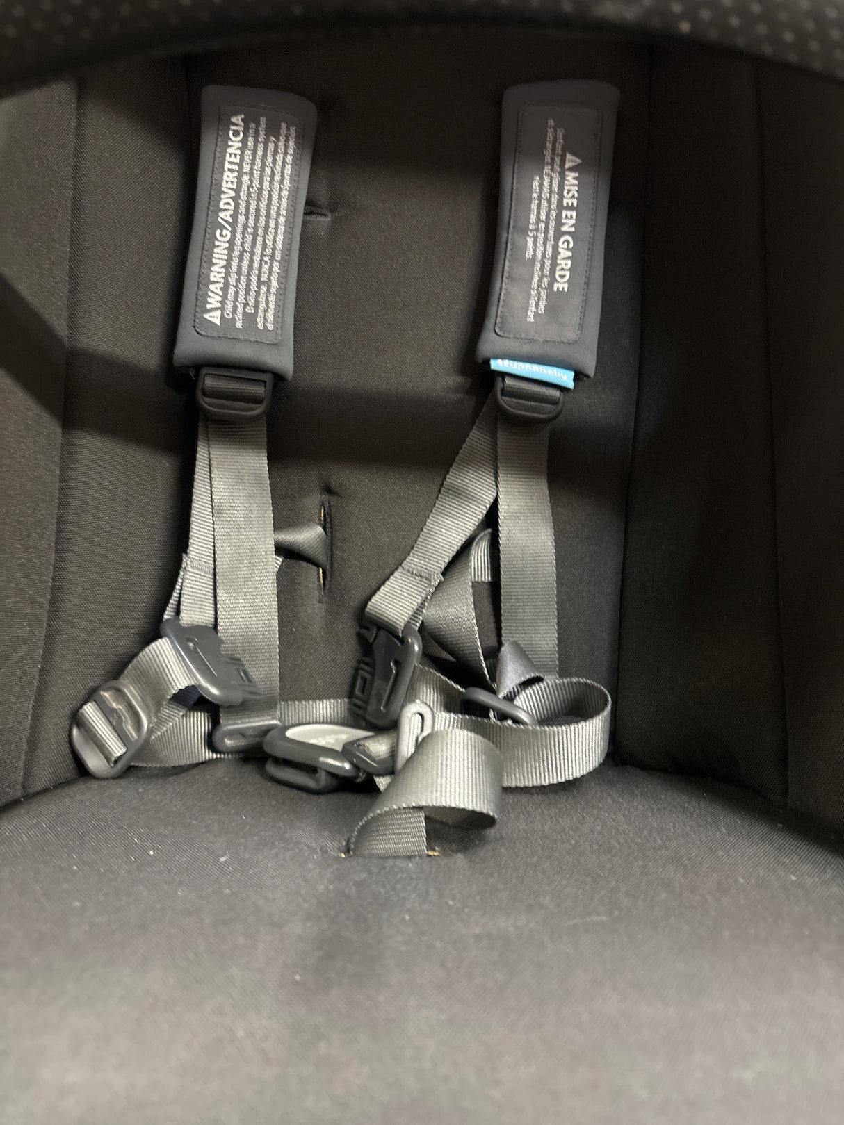 UPPAbaby Cruz Stroller in Jordan