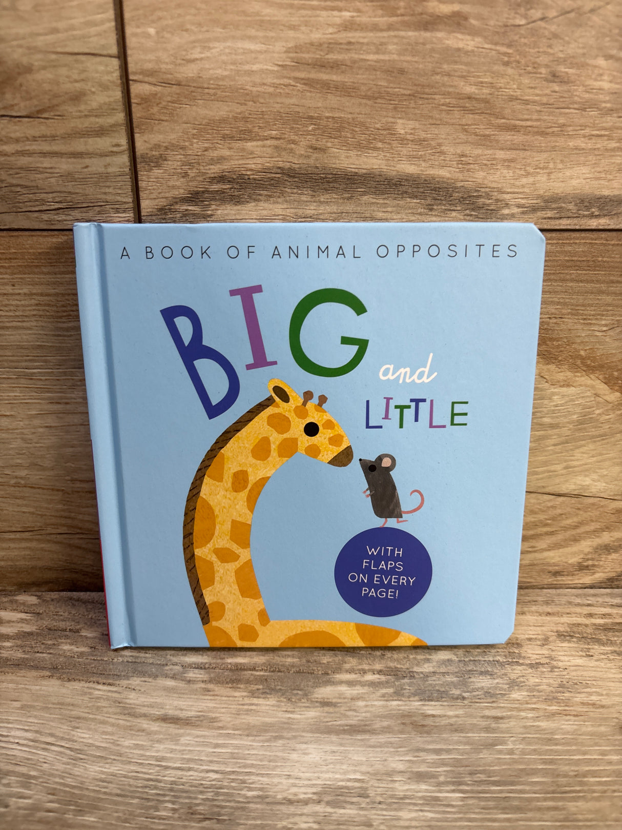 Big and Little: A Book of Animal Opposites Board Book