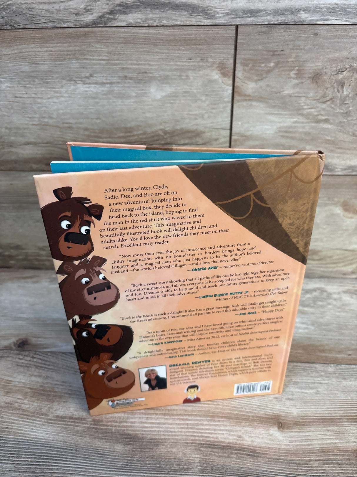Four Bears in a Box: Back to the Beach Hardcover Book