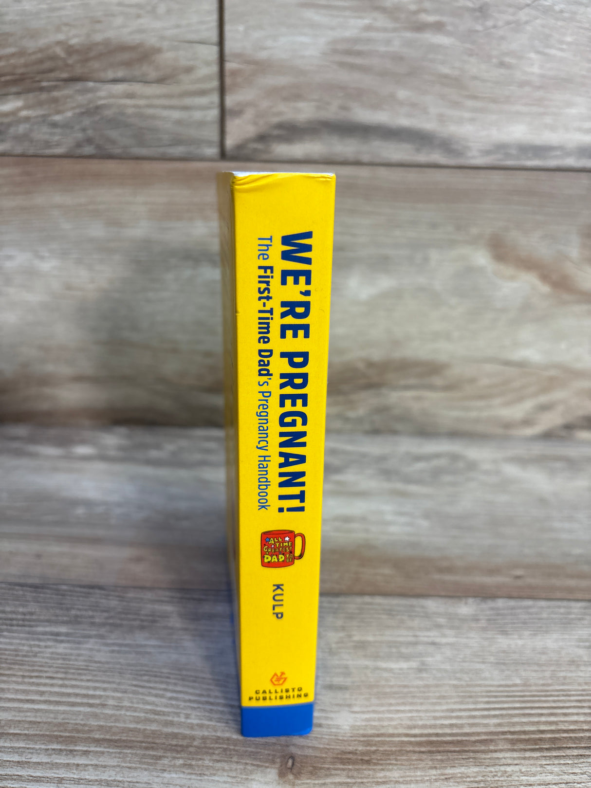 We're Pregnant! The First Time Dad's Pregnancy Handbook Paperback Book