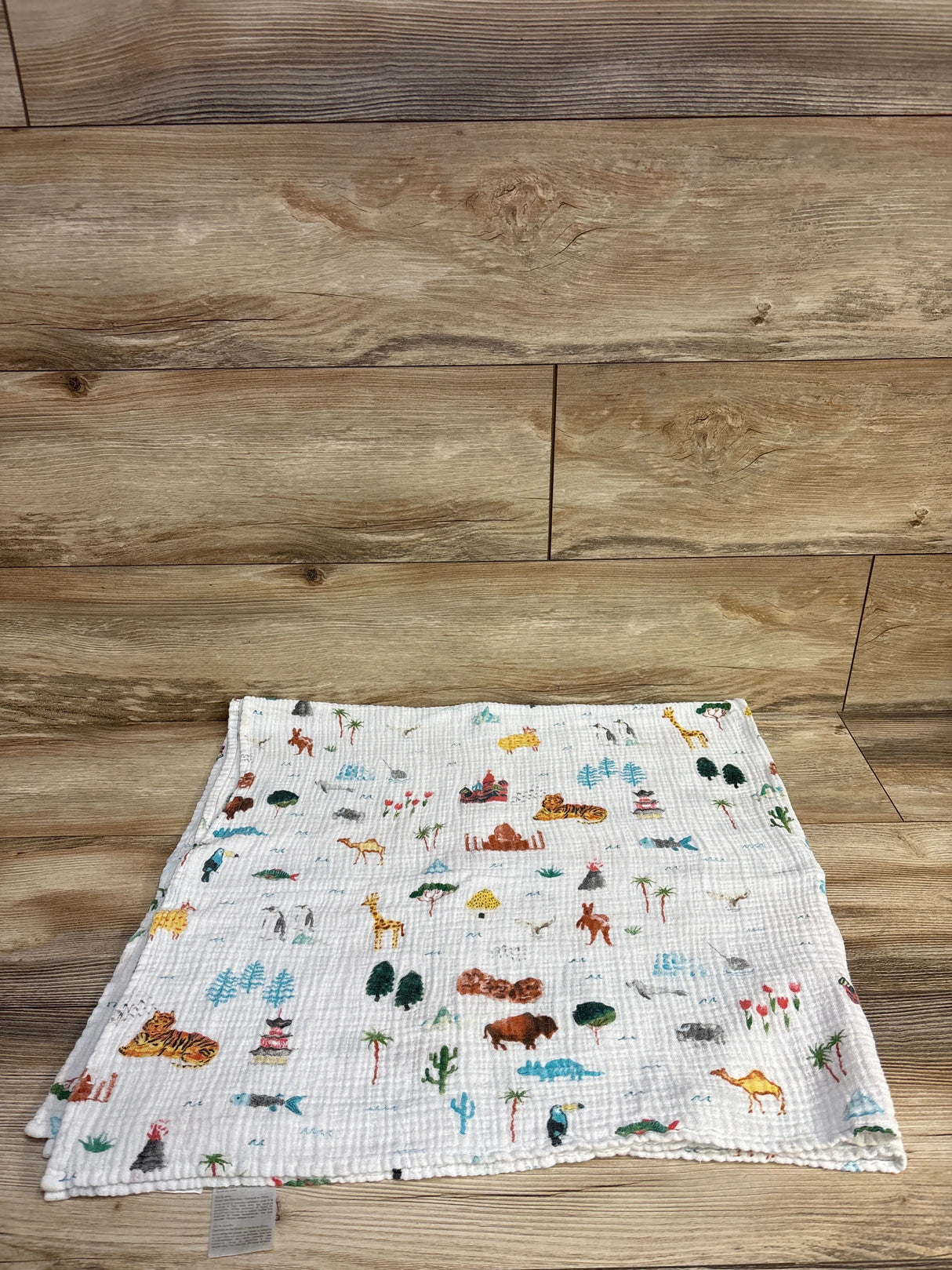 Aden + Anais Muslin Swaddle Blanket, Animal Print