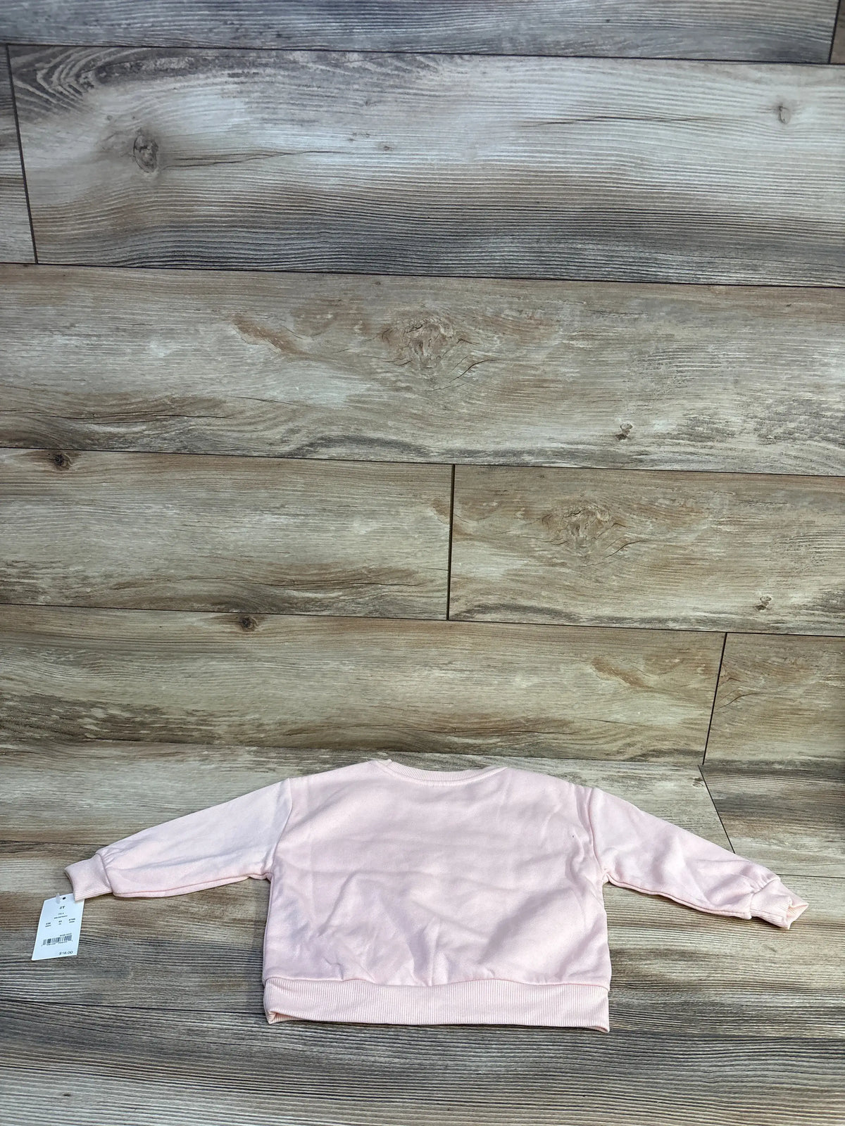 Back view of Bluey Bow toddler sweatshirt size 2T showcasing ribbed hem and long sleeves on wood floor background