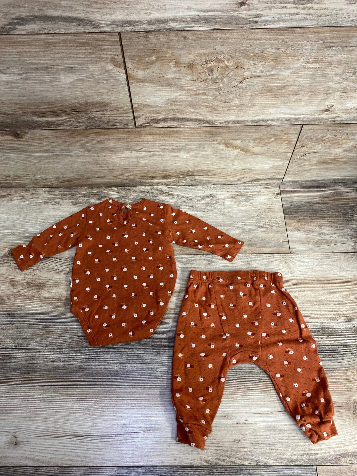Rabbit Bear 2pc Floral Bodysuit & Bottoms Set Rust sz 3-6m
