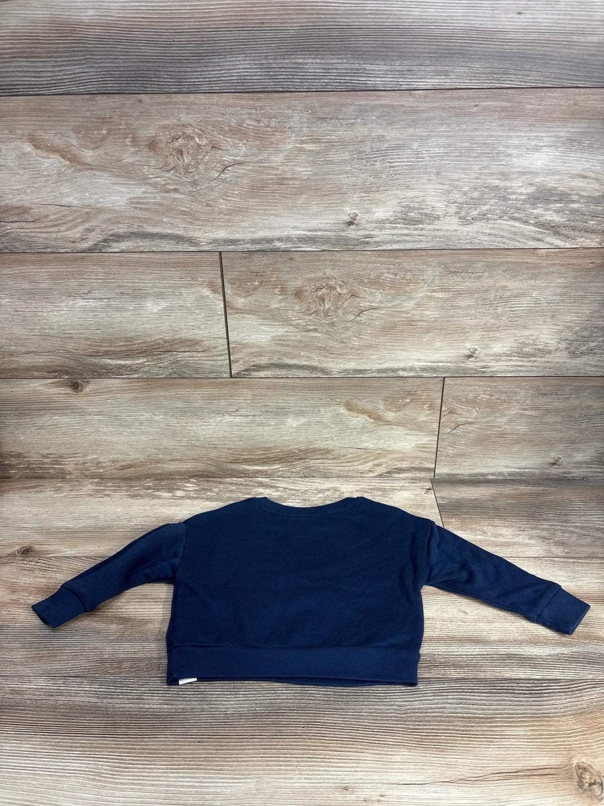 Back view of Baby Gap x Disney navy toddler sweatshirt (18-24M) showing long sleeves laid flat on wood