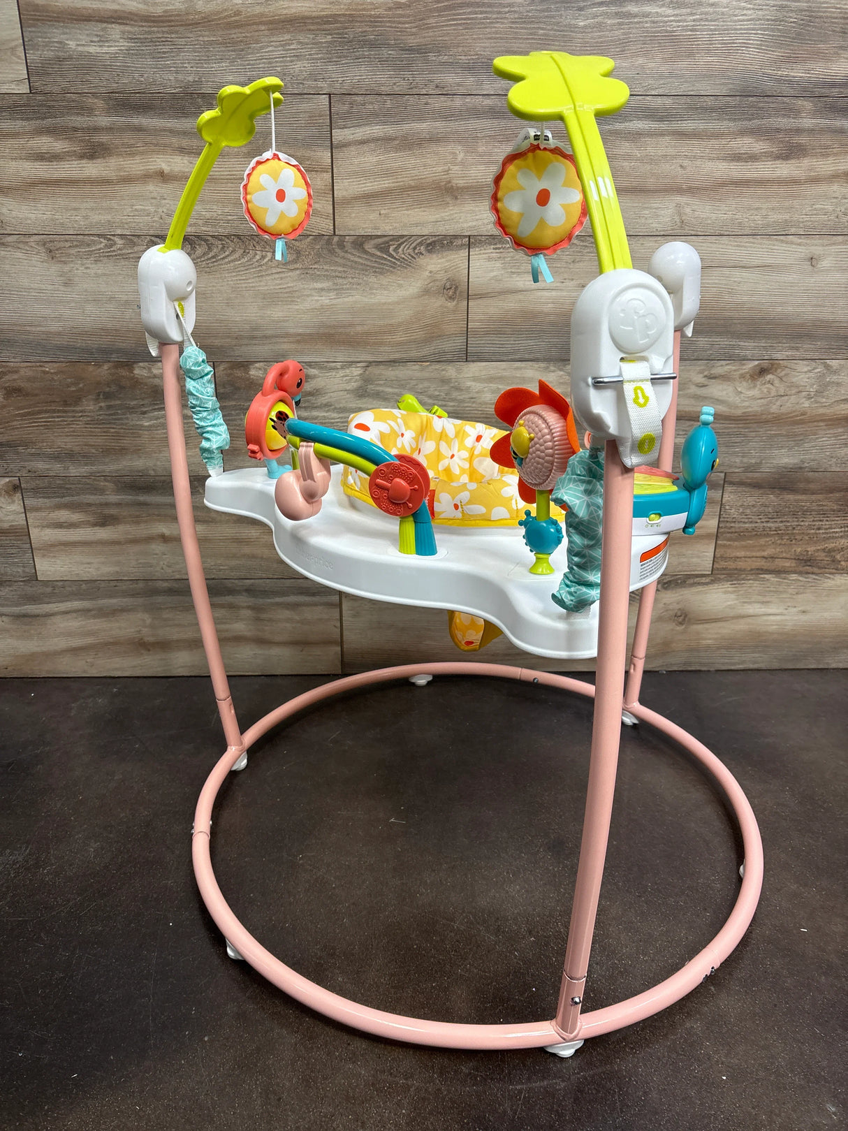 Fisher Price Blooming Fun Jumperoo