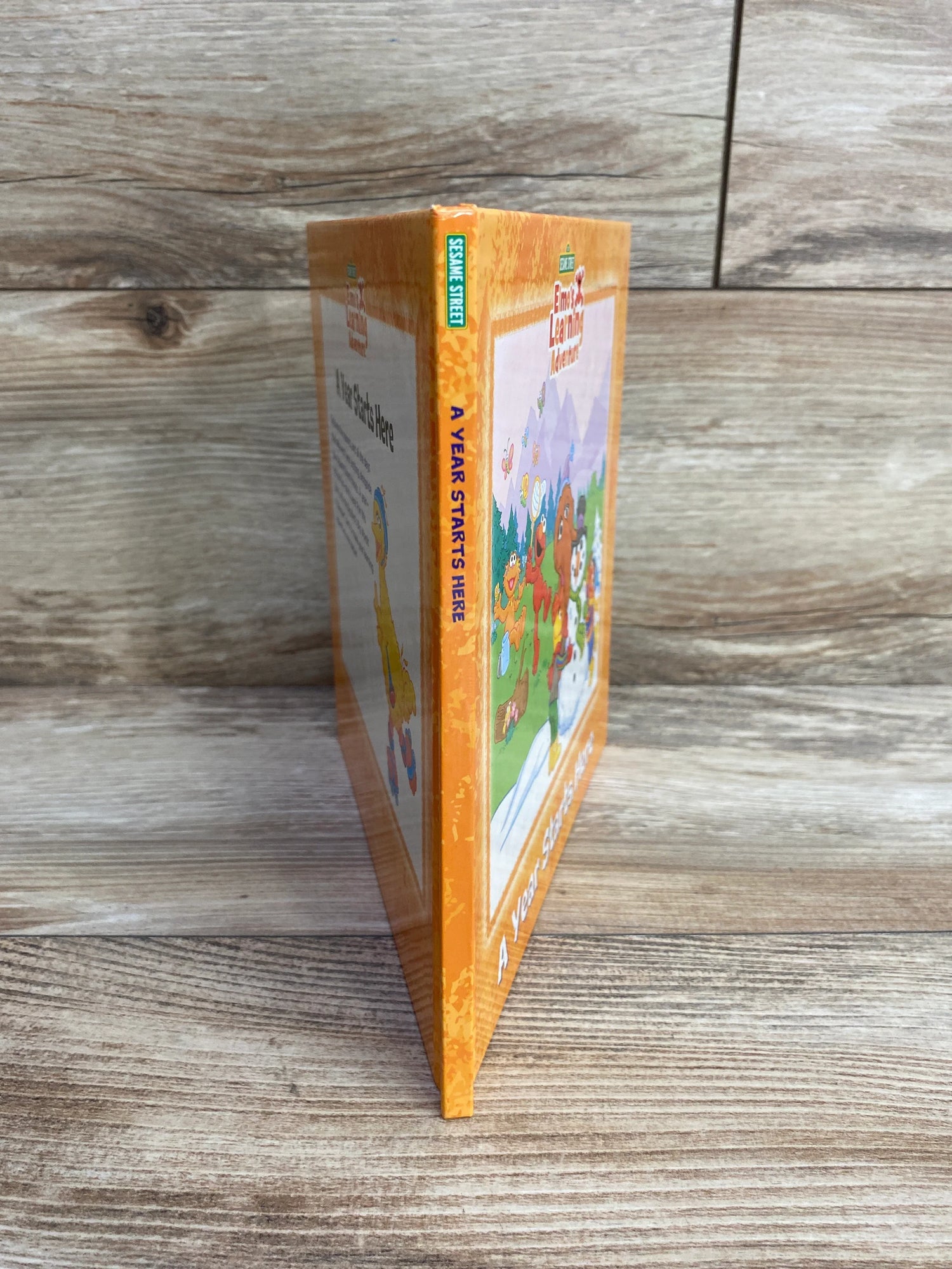 Sesame Street A Year Starts Here Hardcover Book