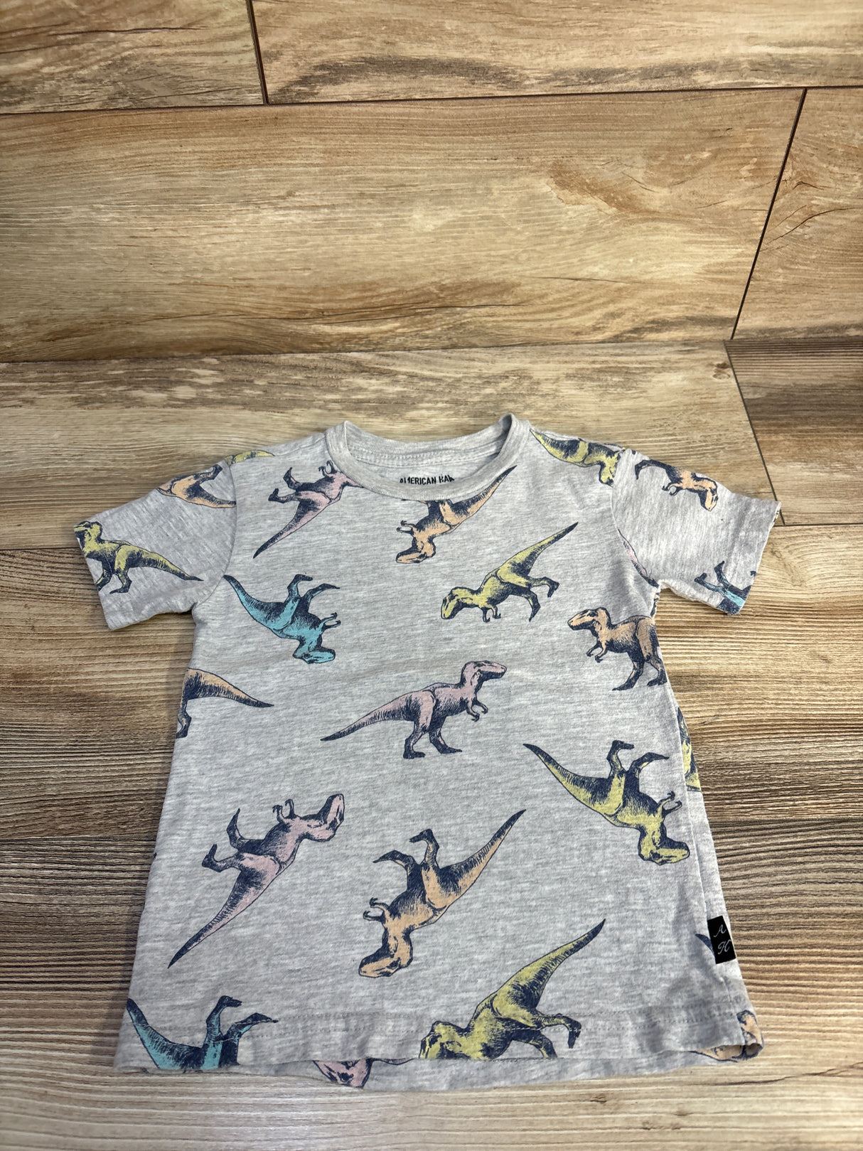 American Hawk Dinosaur Shirt Grey sz 2T