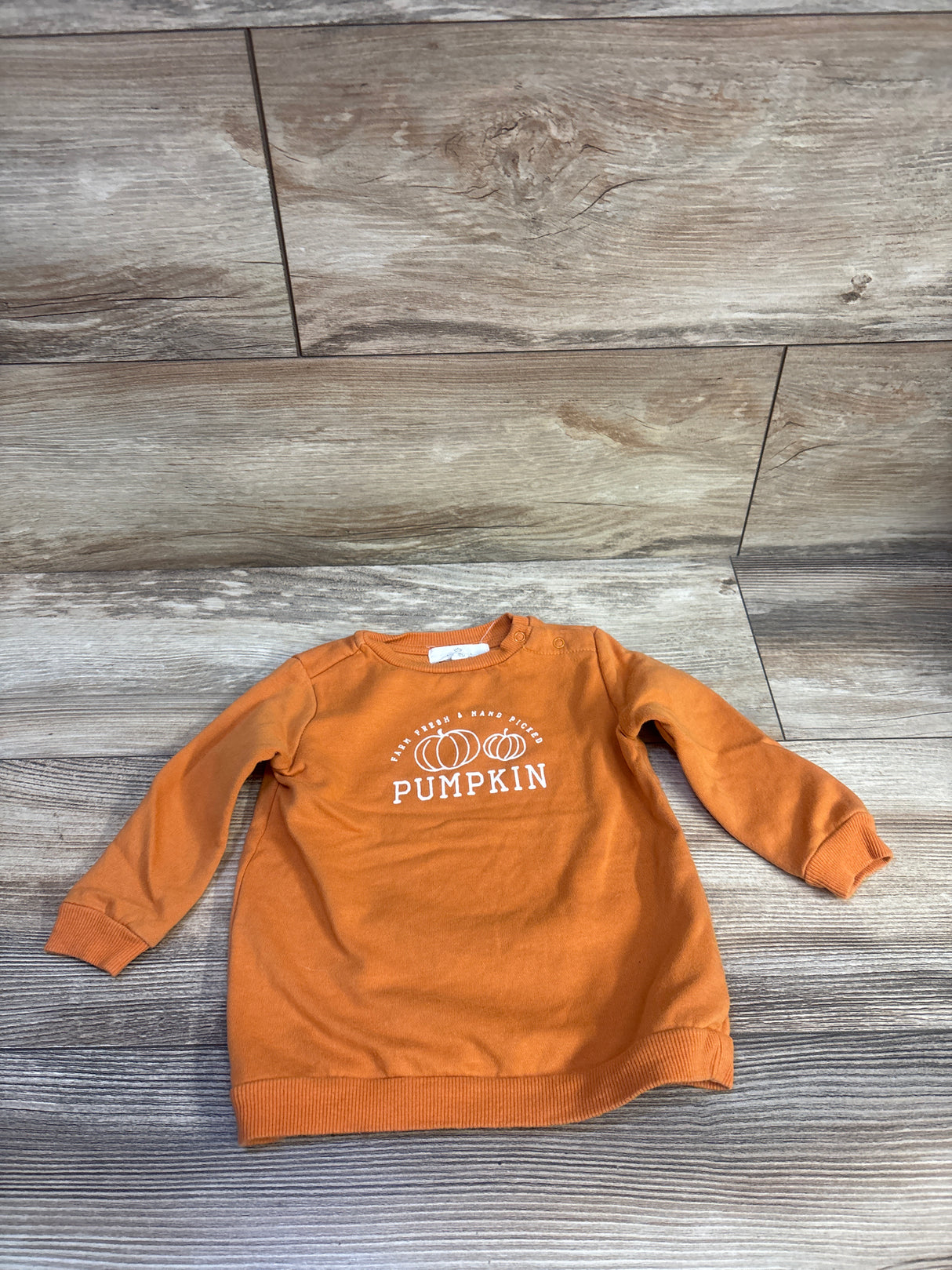 Starting Out Pumpkin Pullover Sweatshirt Orange sz 18m