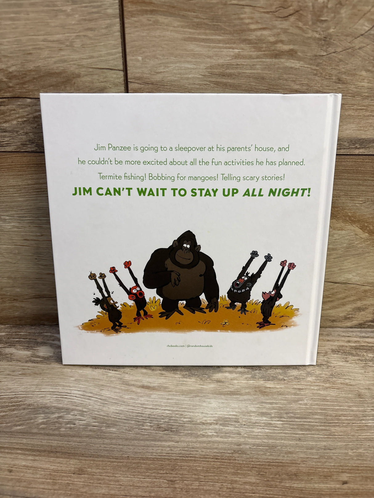 Back of Grumpy Monkey Up All Night hardcover with headline JIM CAN’T WAIT TO STAY UP ALL NIGHT! and gorilla illustration