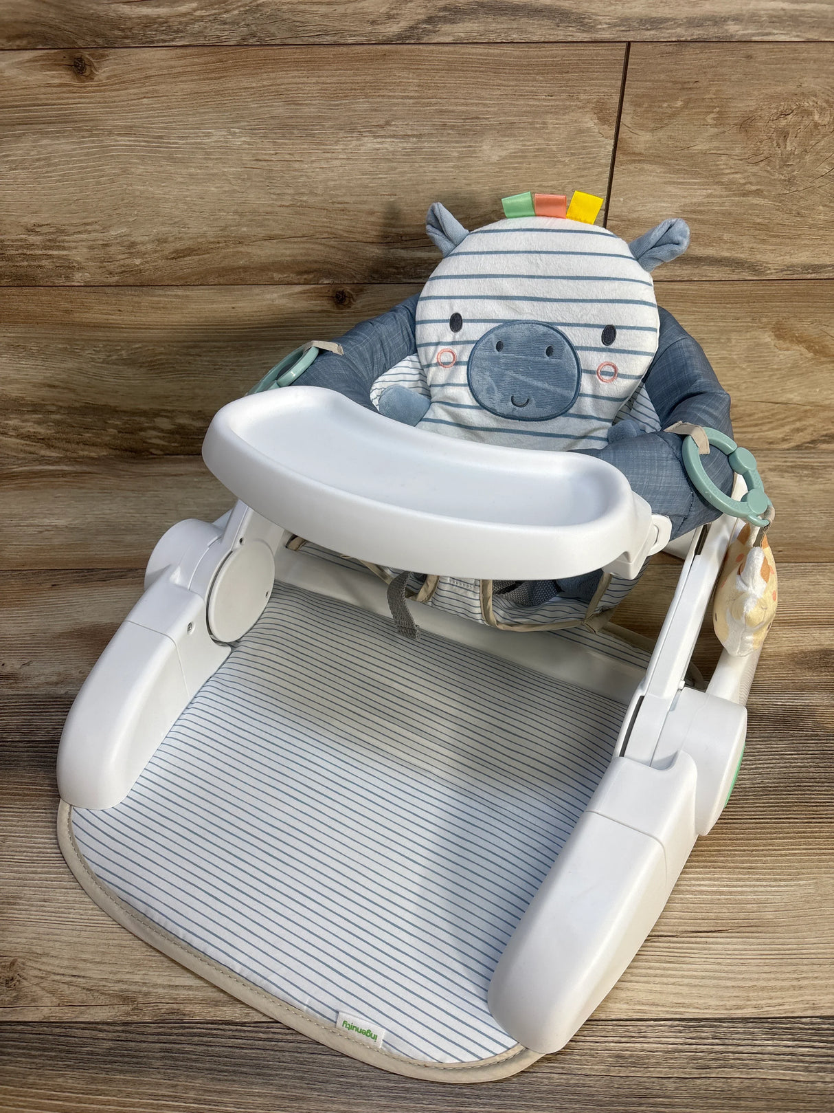 Ingenuity Prop Spot Learn-to-Sit Floor Seat in Casi the Zebra