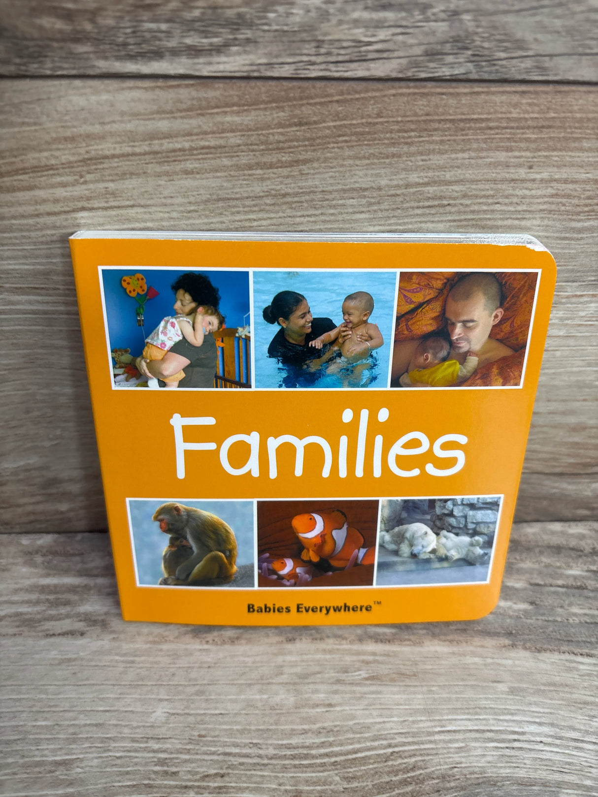 Families (Babies Everywhere) Board Book