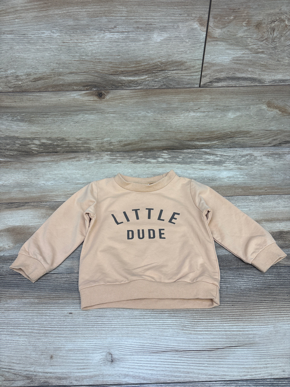 Little Dude Pullover Sweatshirt Orange sz 18-24m