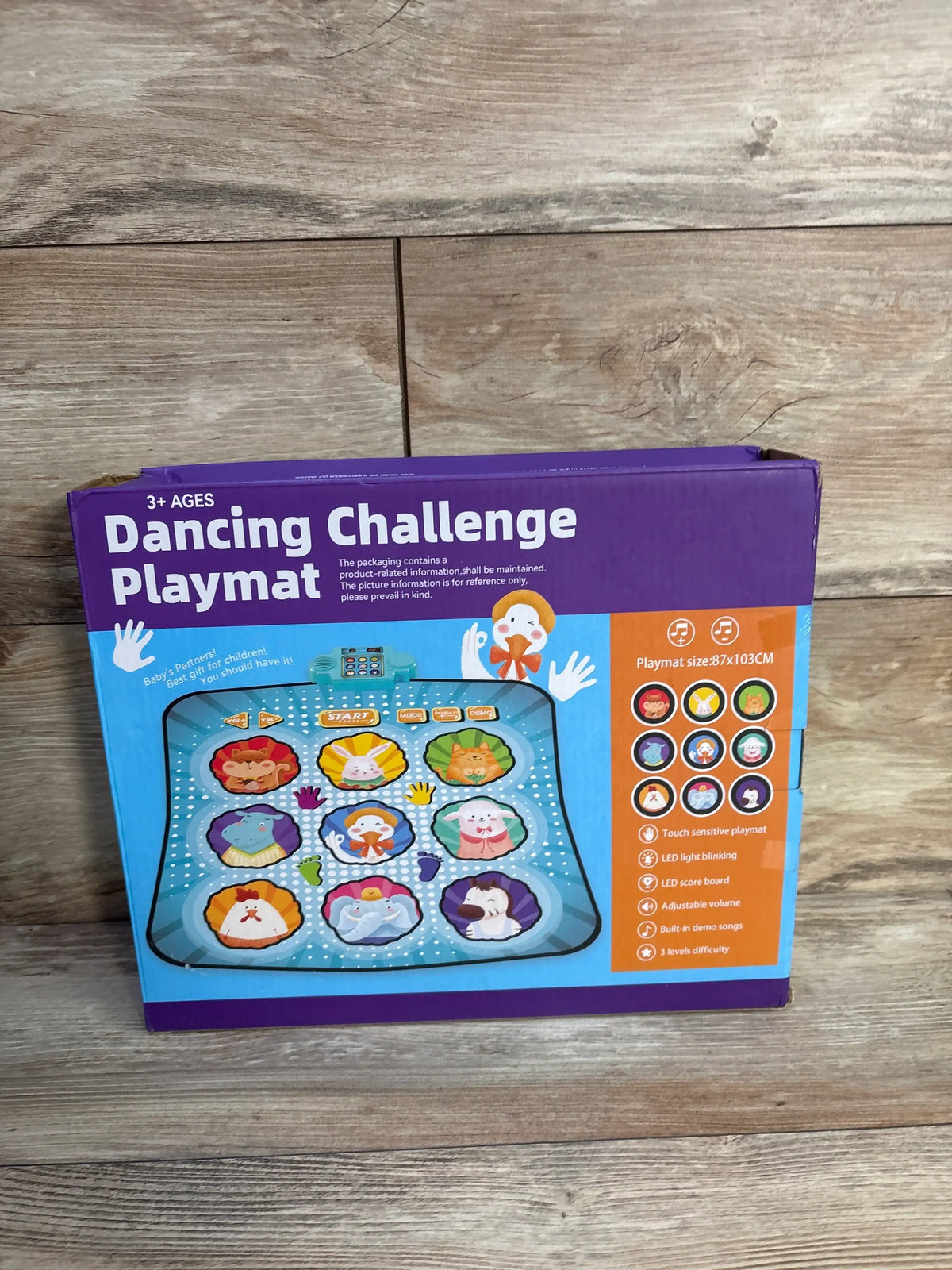 Front view of NEW RenFox Dancing Challenge Playmat showcasing LED cues and touch-sensitive play areas on wood flooring