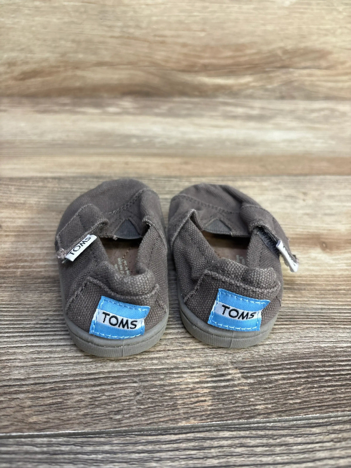 Front view of toddler gray TOMS Tiny Alpargata shoes showcasing canvas upper, elastic V top, and blue TOMS heel patches on wood floor