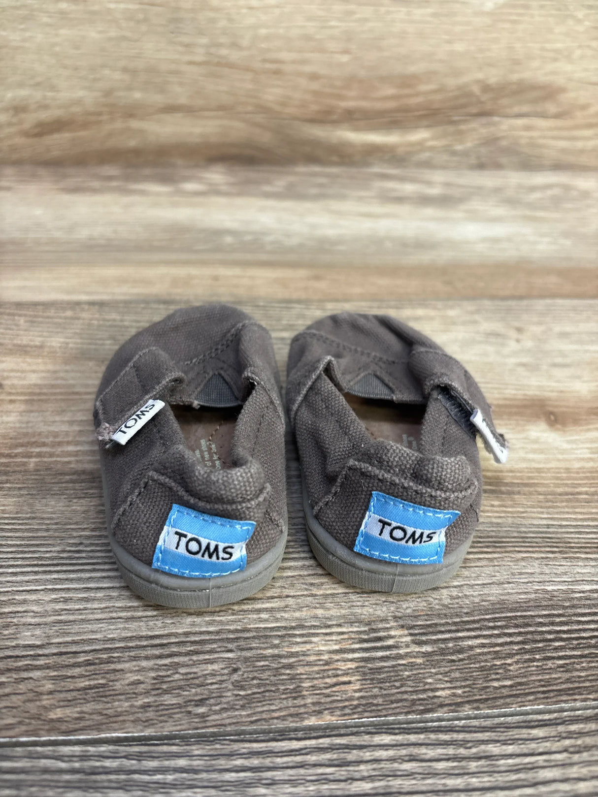 Front view of grey TOMS Tiny Alpargata toddler shoes showing blue heel logos and elastic V top on wood floor background