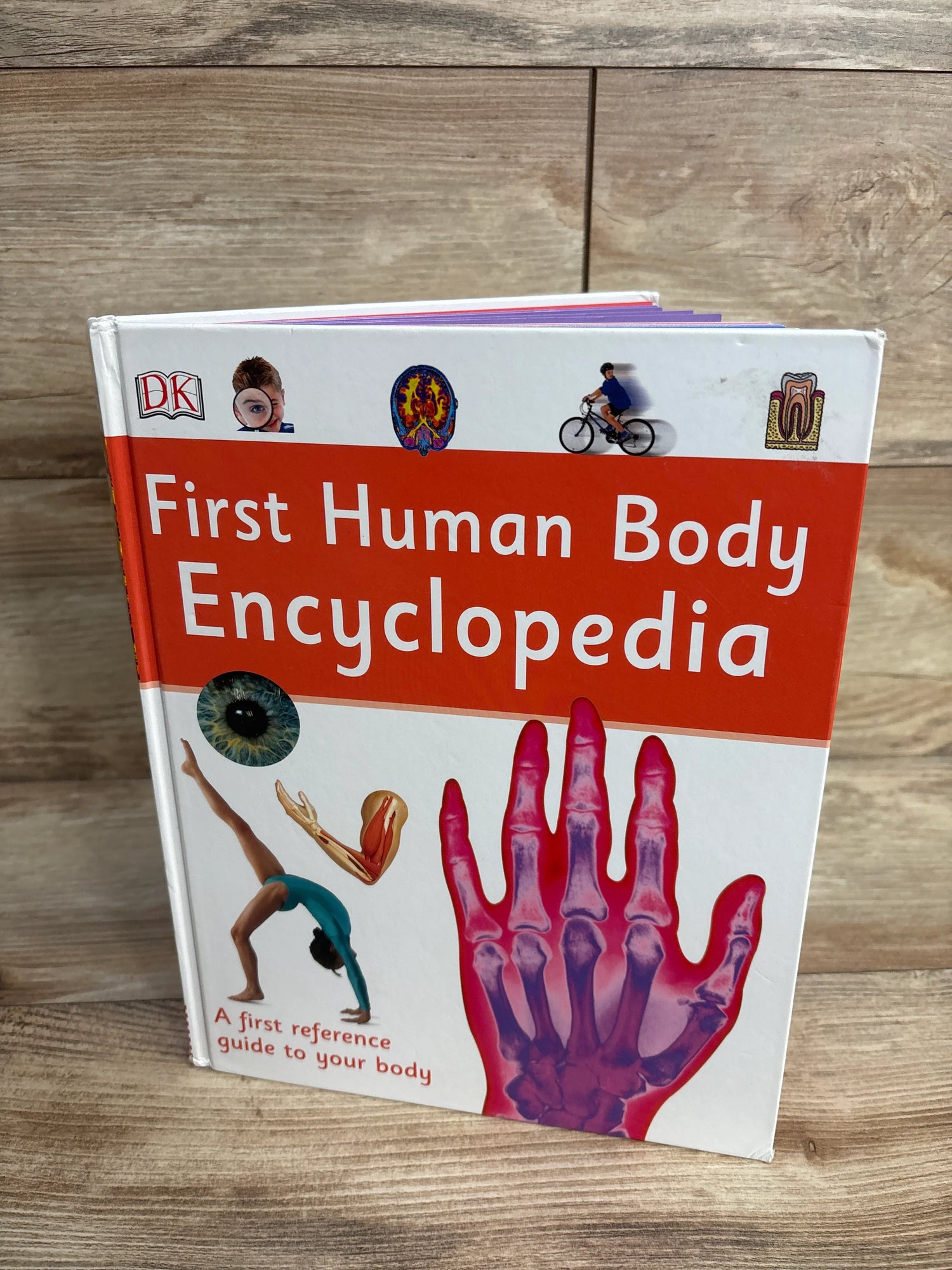 First Human Body Encyclopedia Hardcover Book