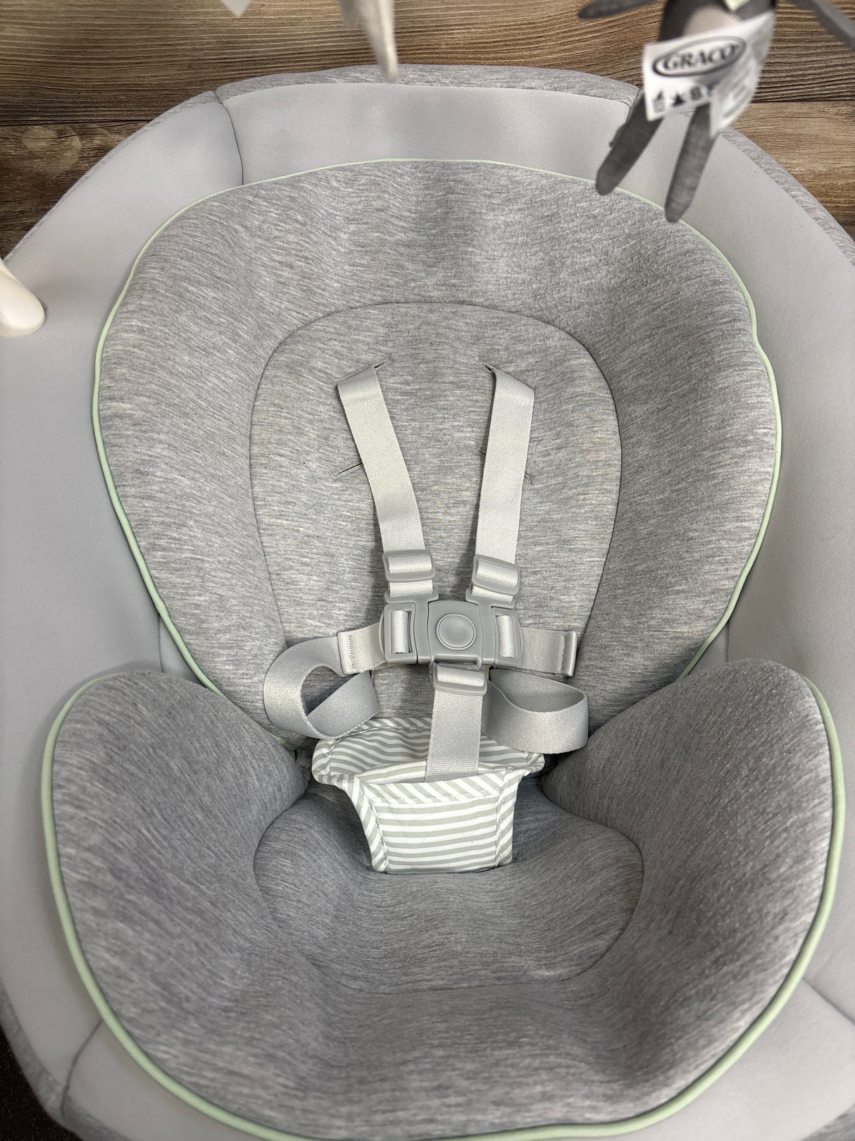 Graco Soothe My Way Baby Swing with Removable Rocker in Madden