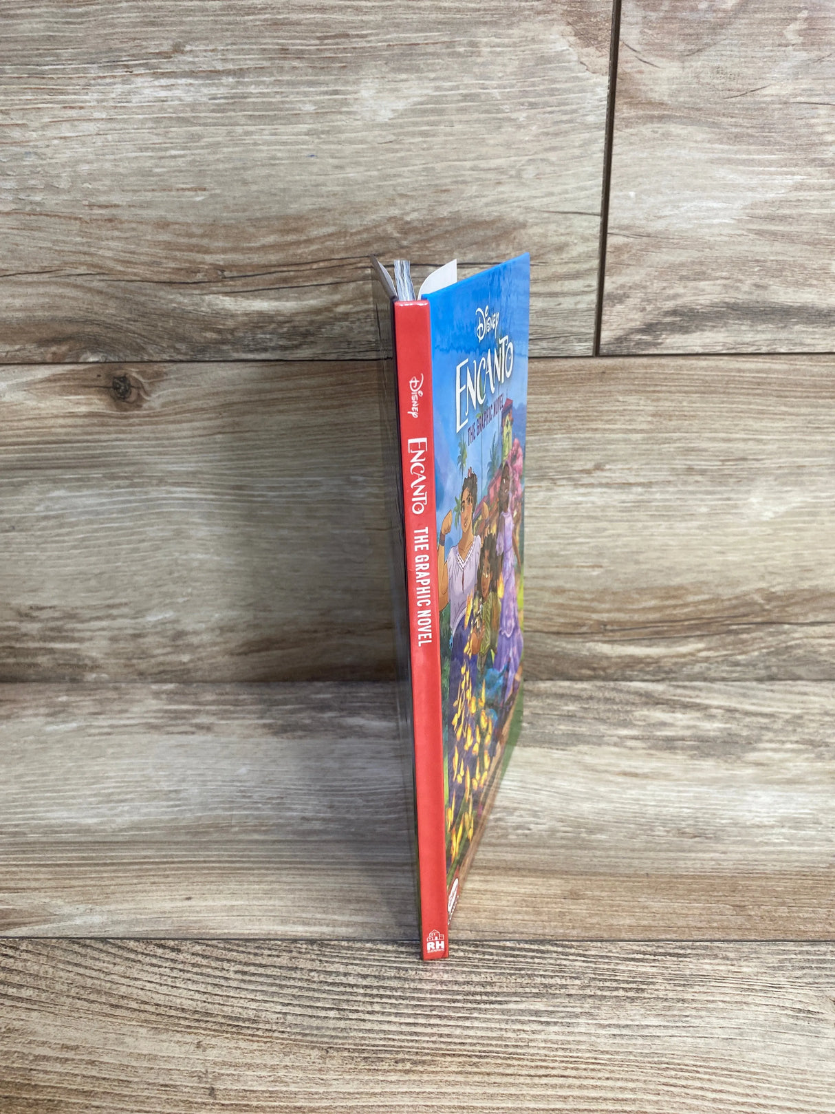 Disney Encanto: The Graphic Novel Hardcover Book - Me n Mommy To Be