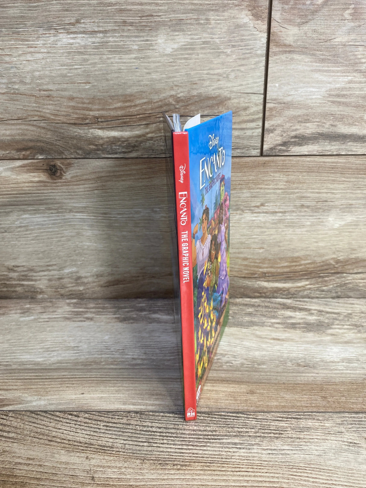 Disney Encanto: The Graphic Novel Hardcover Book - Me n Mommy To Be
