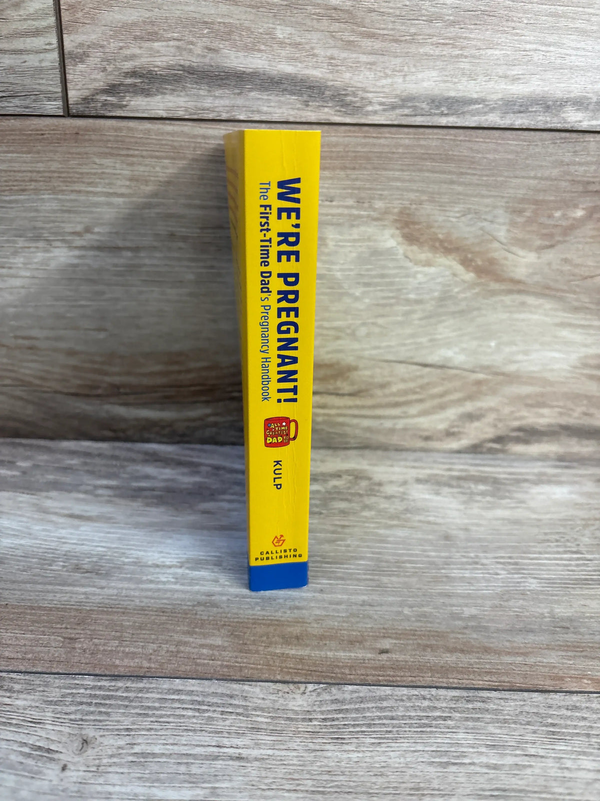 Side view of We’re Pregnant! The First-Time Dad’s Pregnancy Handbook paperback book showing its yellow and blue spine on wood