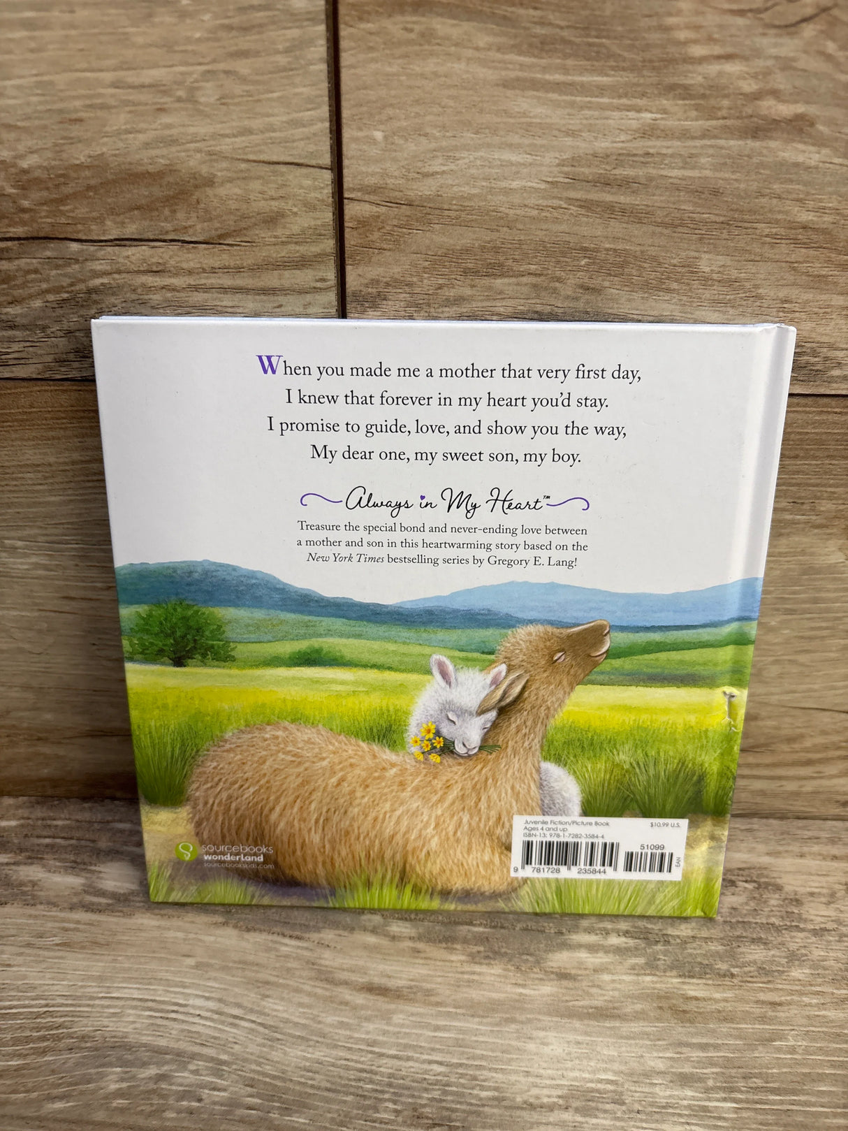 Back cover of children's book with mother and baby llama cuddling in grassy field, heartwarming poem