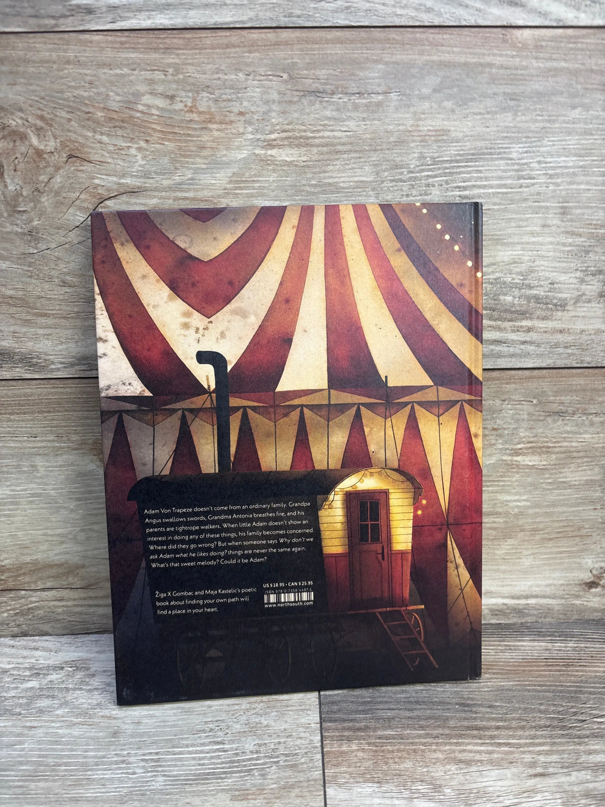 Back cover of Adam and His Tuba Hardcover Book showcasing circus tent artwork with a blurb on a wood surface
