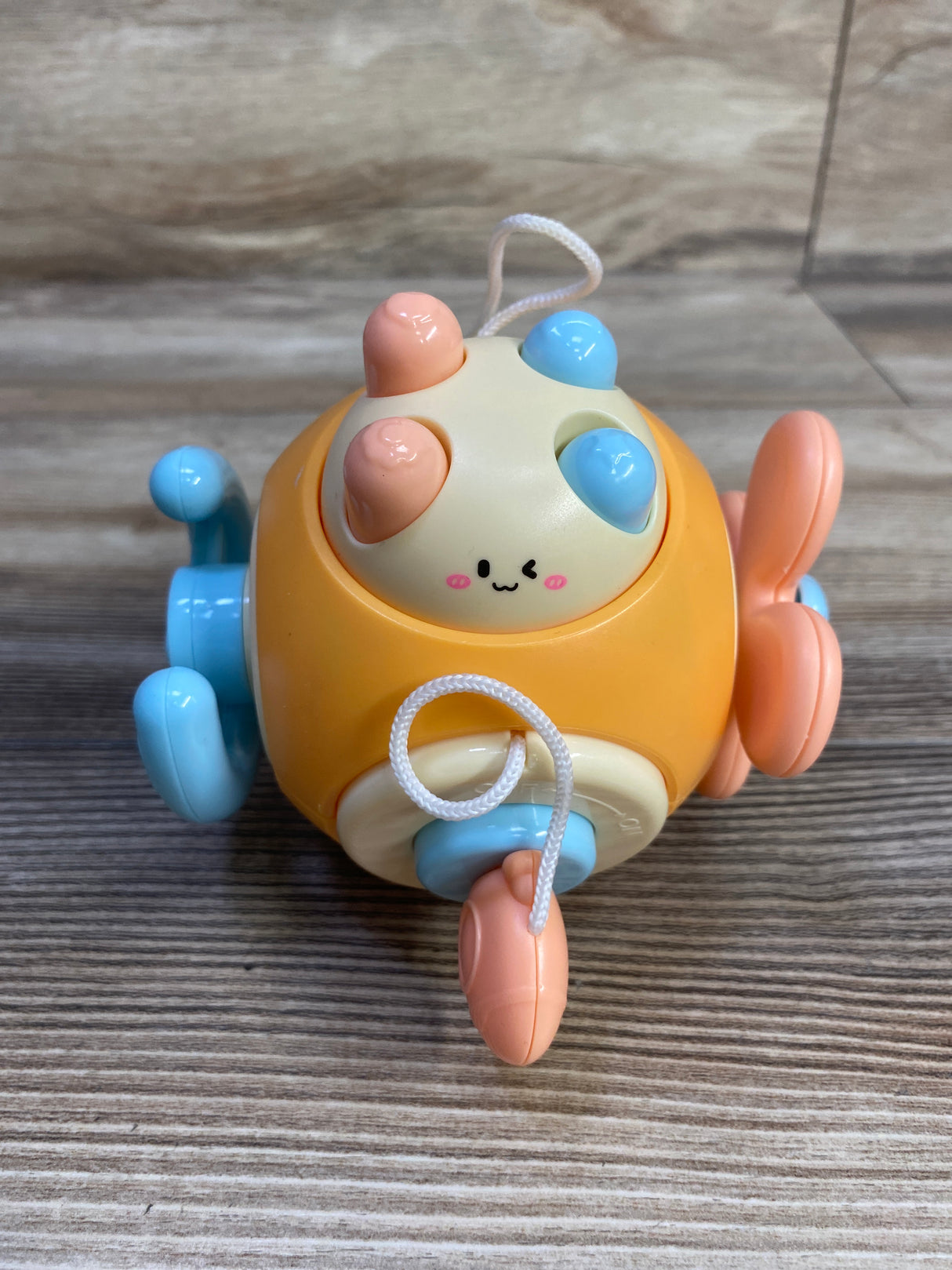 Open Ended 6-in-1 Montessori Activity Ball