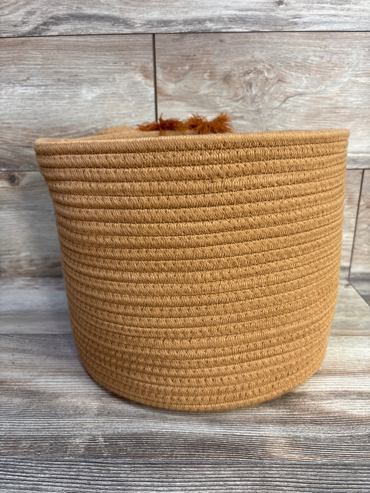 Pillowfort Lion Coiled Rope Basket