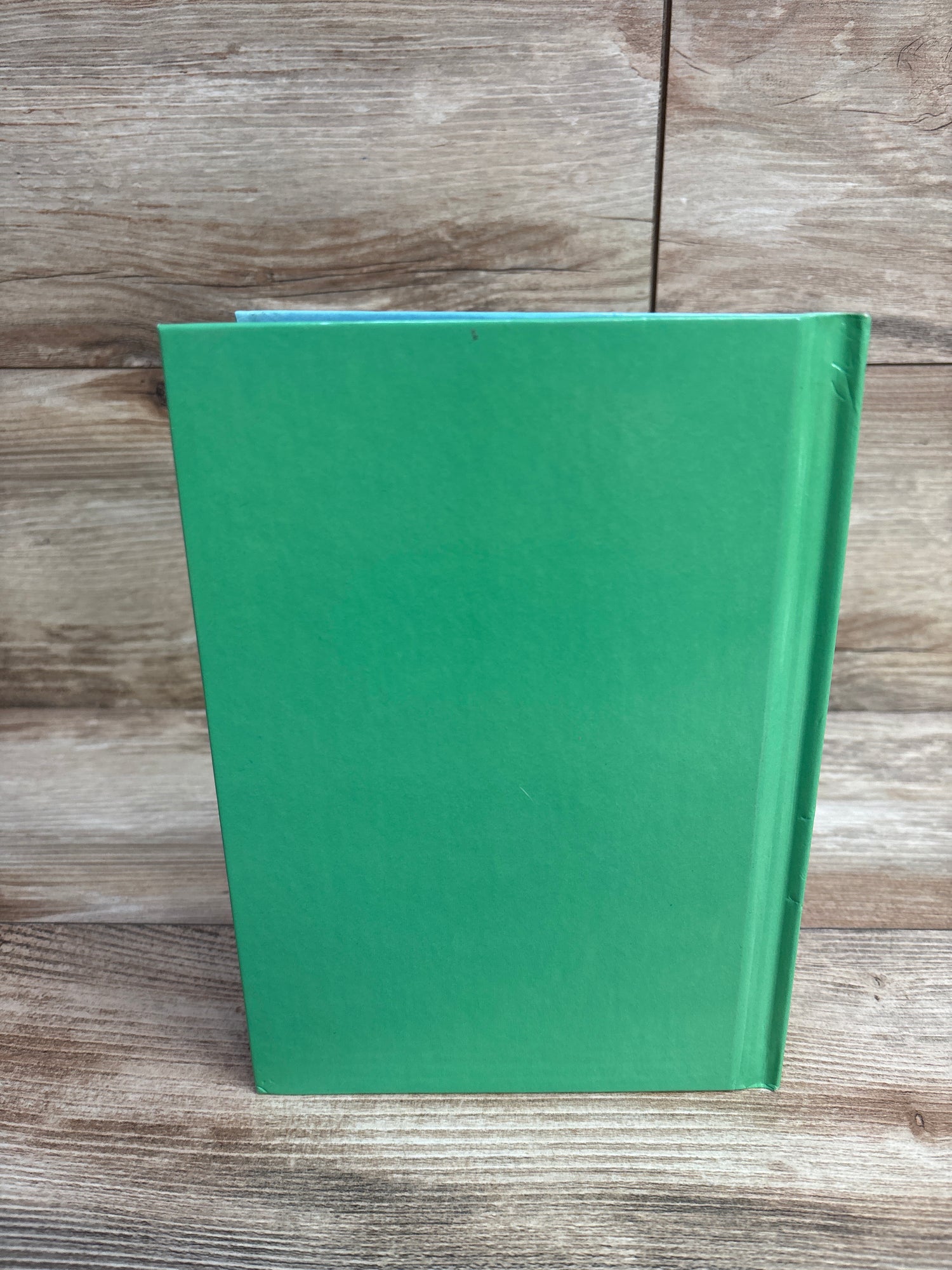 Pooh's Grand Adventure: The Search for Christopher Robin Hardcover Book