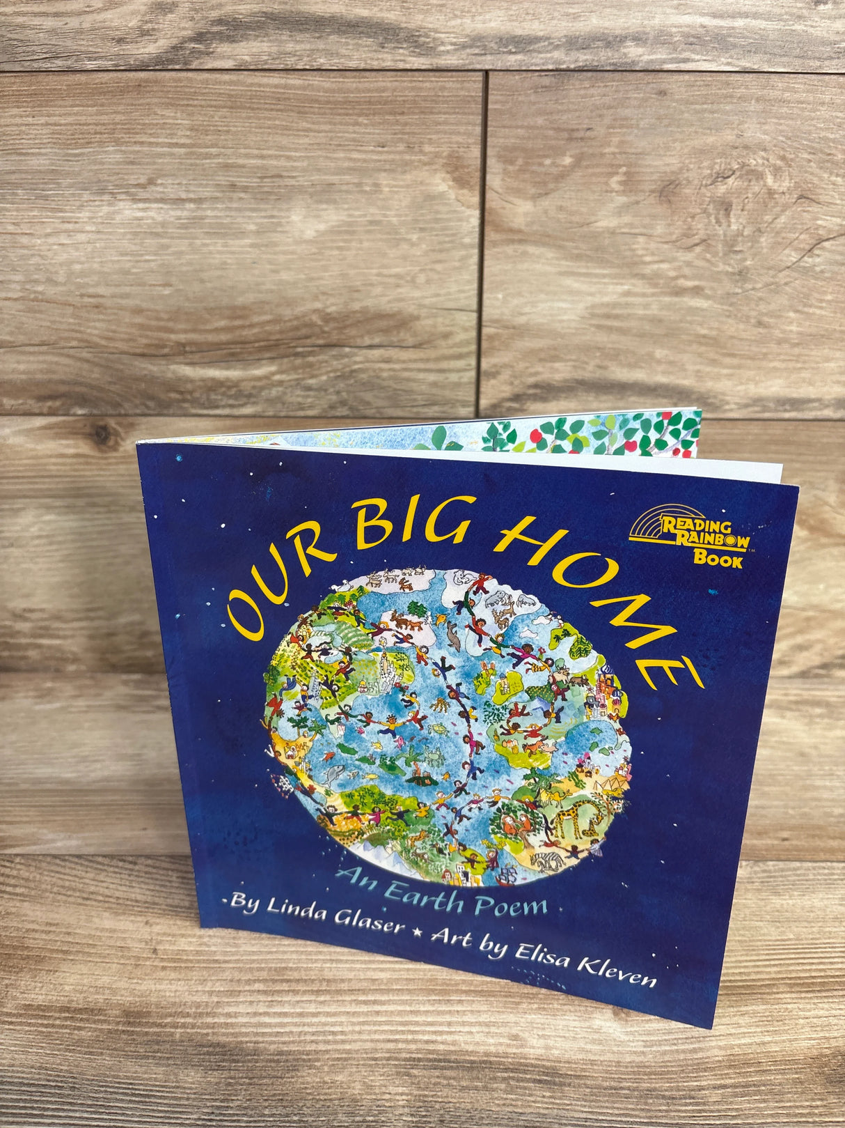 Our Big Home Paperback Book