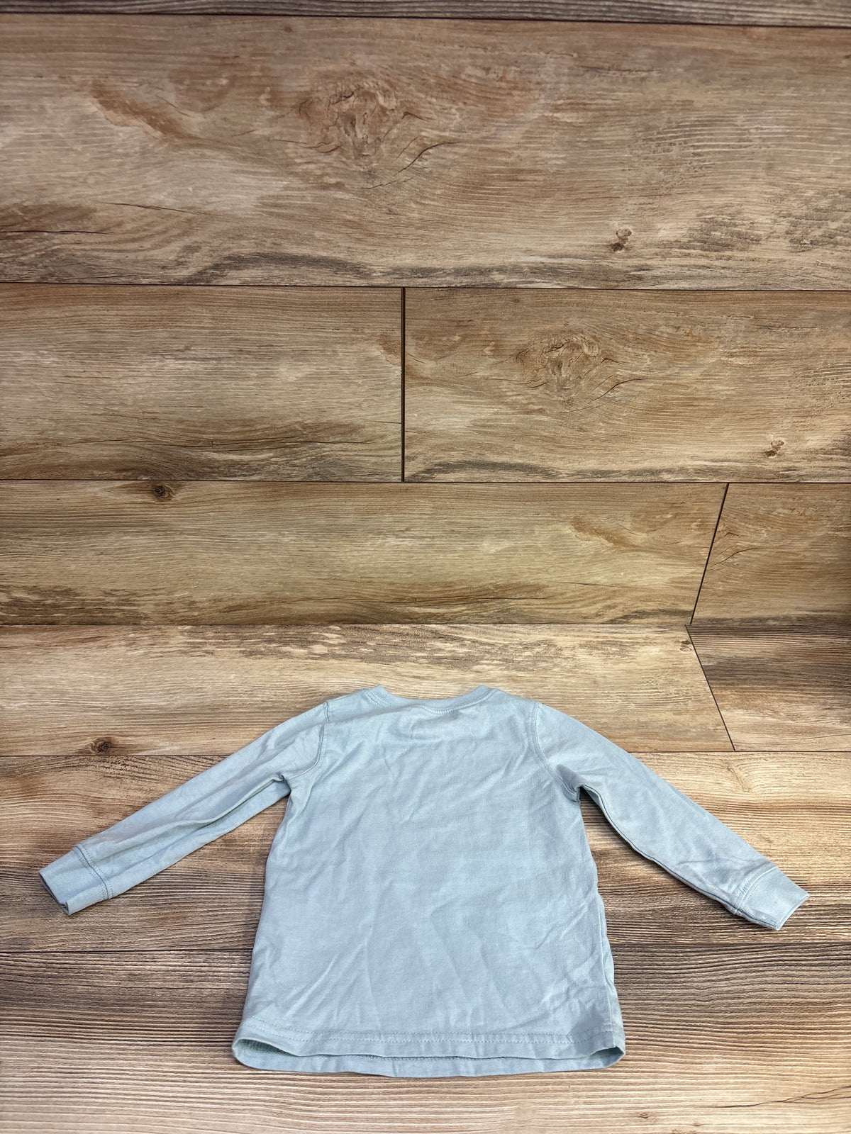 Carter's Shirt Blue sz 18m