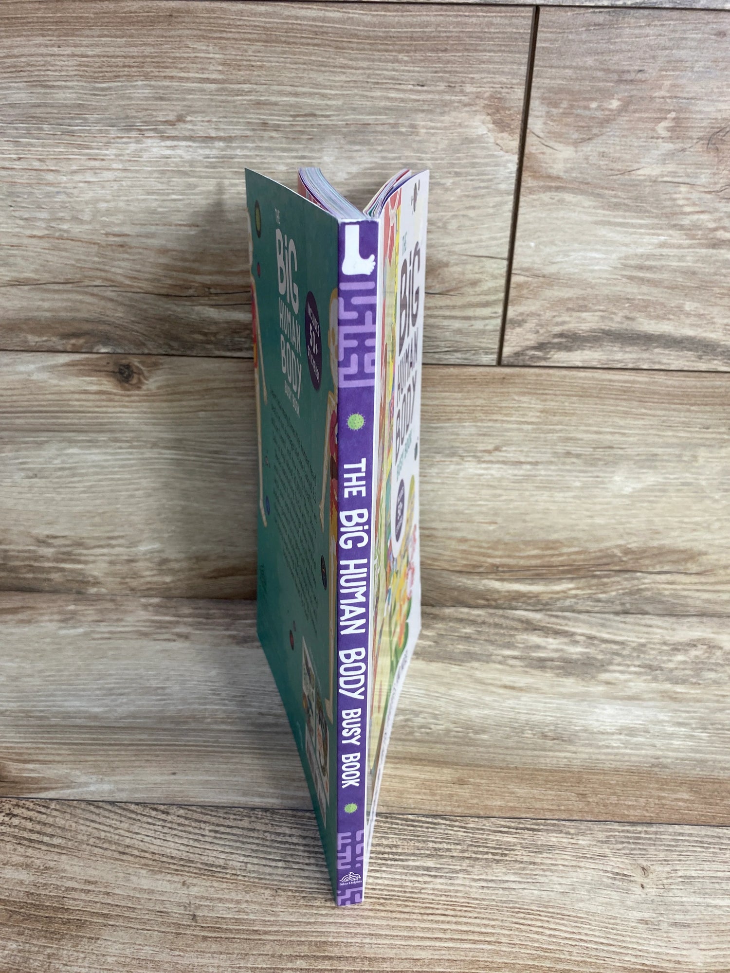 Big Human Body Busy Book Paperback Book