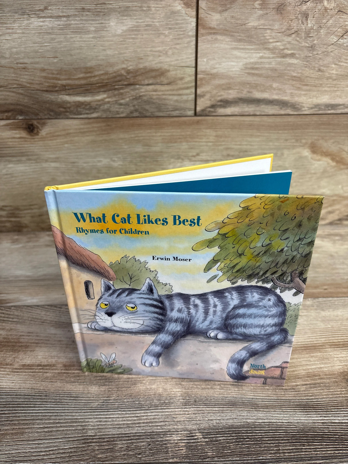 What Cat Likes Best Hardcover Book