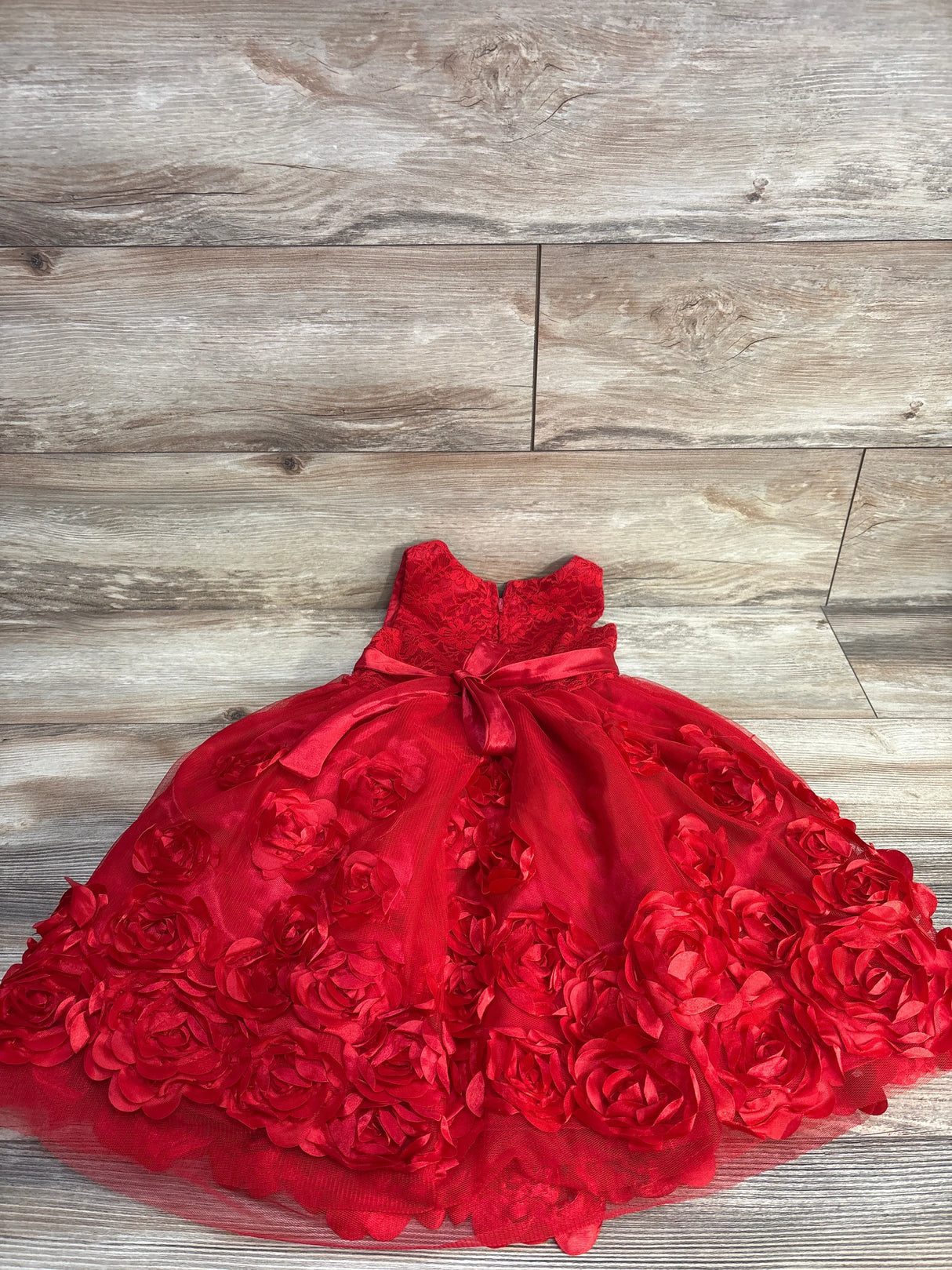 Nannette Kids Floral Lace Tulle Dress Red sz 5T