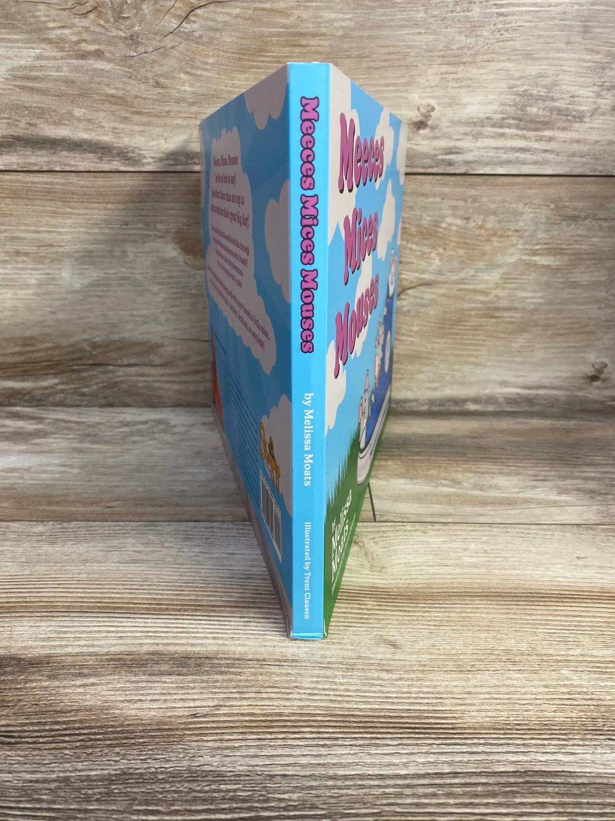 Three-quarter view of Meeces Mices Mouses Board Book standing upright showing blue sky cover with pink title and spine on wood plank floor