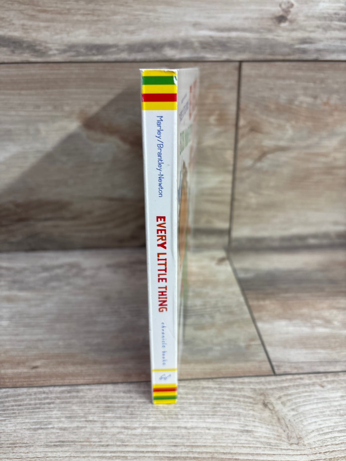 Every Little Thing Board Book