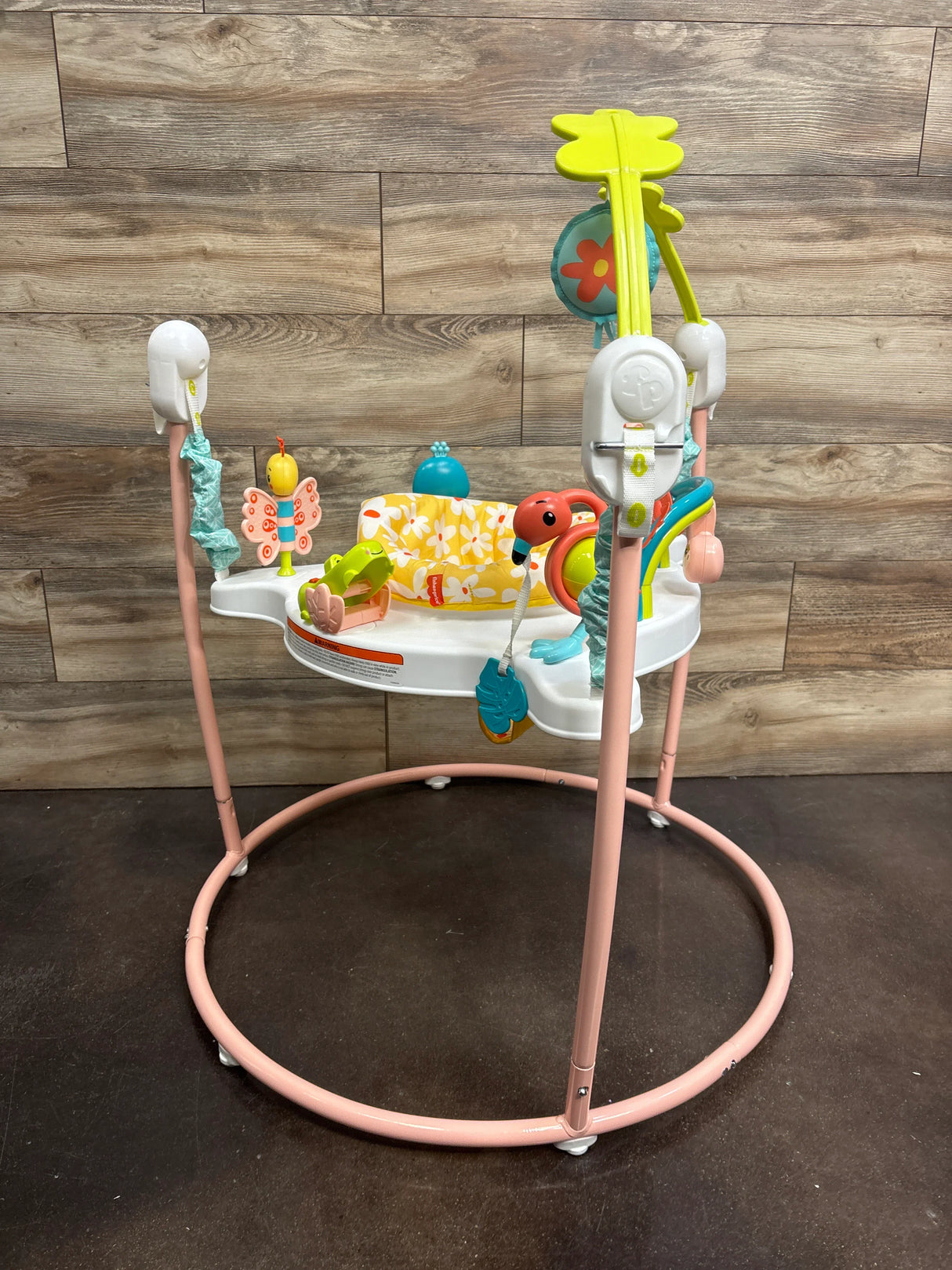 Fisher Price Blooming Fun Jumperoo