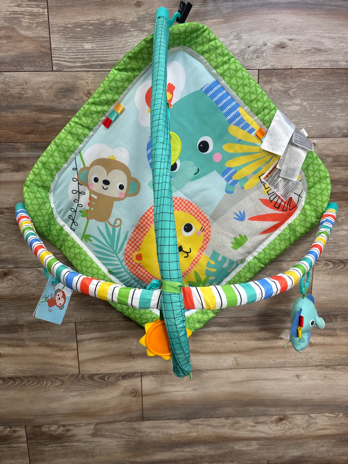 Bright Starts Wild Wiggles Baby Activity Gym & Play Mat