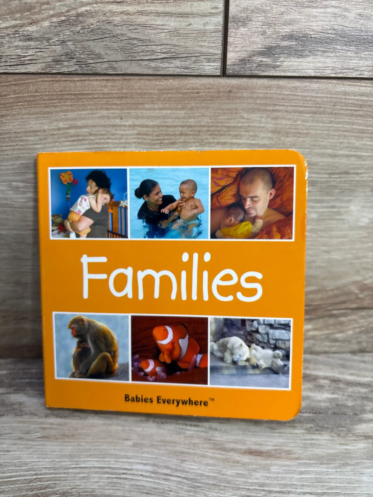 Front cover of Families (Babies Everywhere) board book showing orange cover with ‘Families’ title and photos of parents and animal babies on a wooden surface