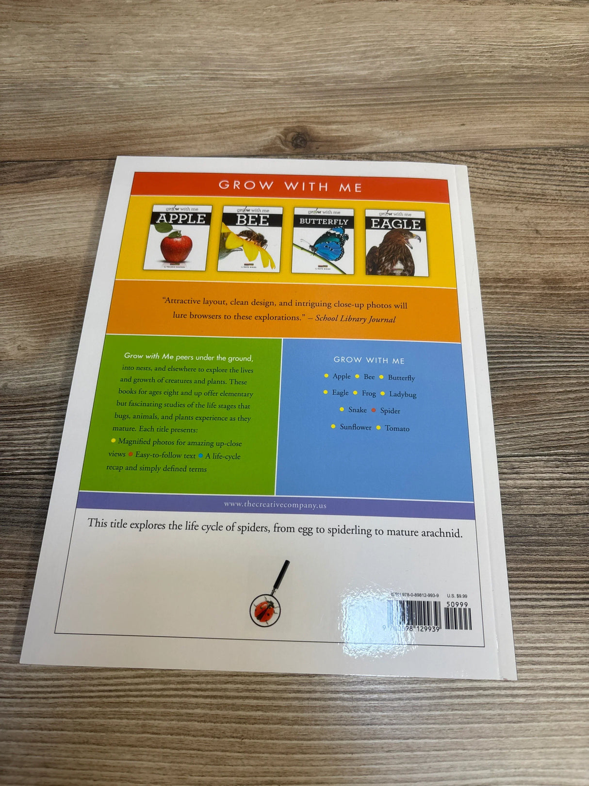 Back cover of children's educational book on life cycles, features Apple, Bee, Butterfly, Eagle.