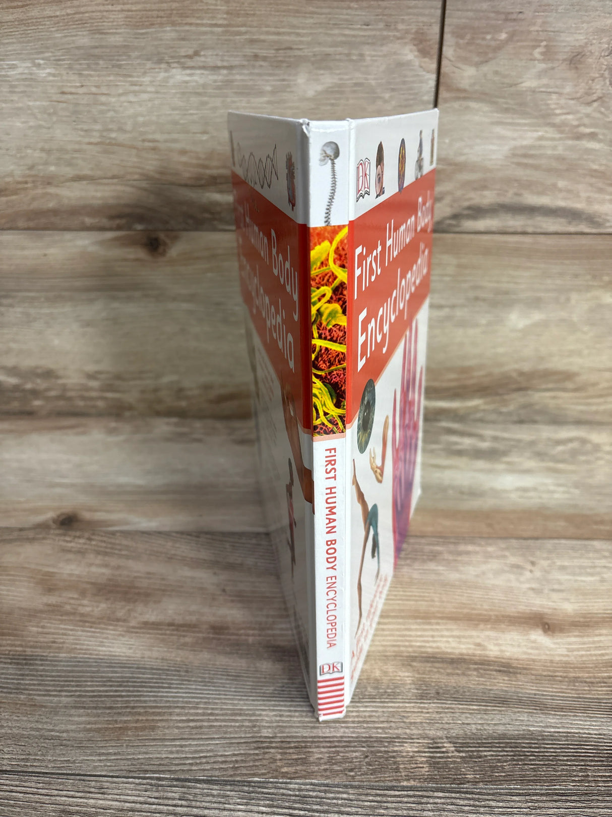 First Human Body Encyclopedia Hardcover Book