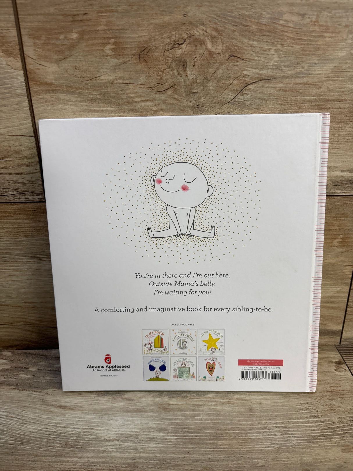 Back cover of Hello in There! hardcover book showing a smiling seated baby illustration, blurb text, and publisher logo on wooden background