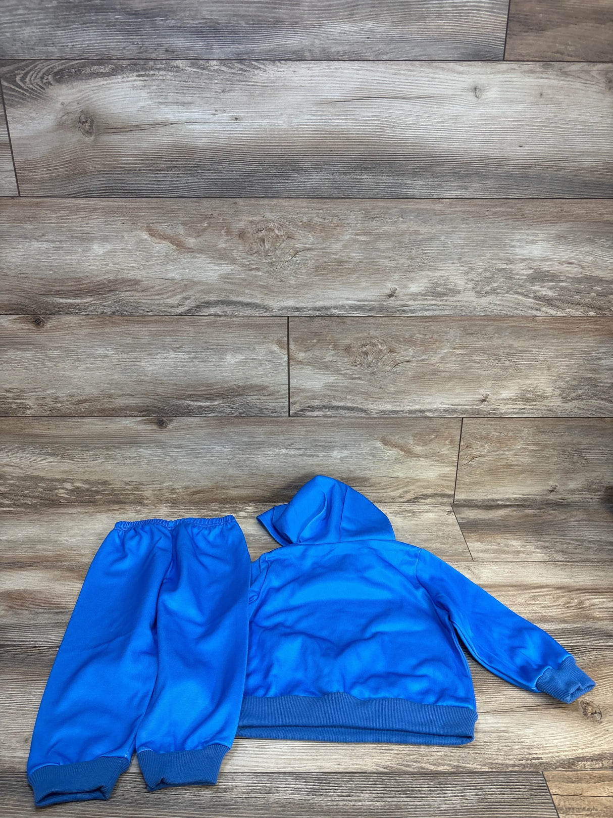 Back view of Allegro blue dinosaur sweatshirt and joggers set, size 2T, showing hood and ribbed cuffs on wood-look floor